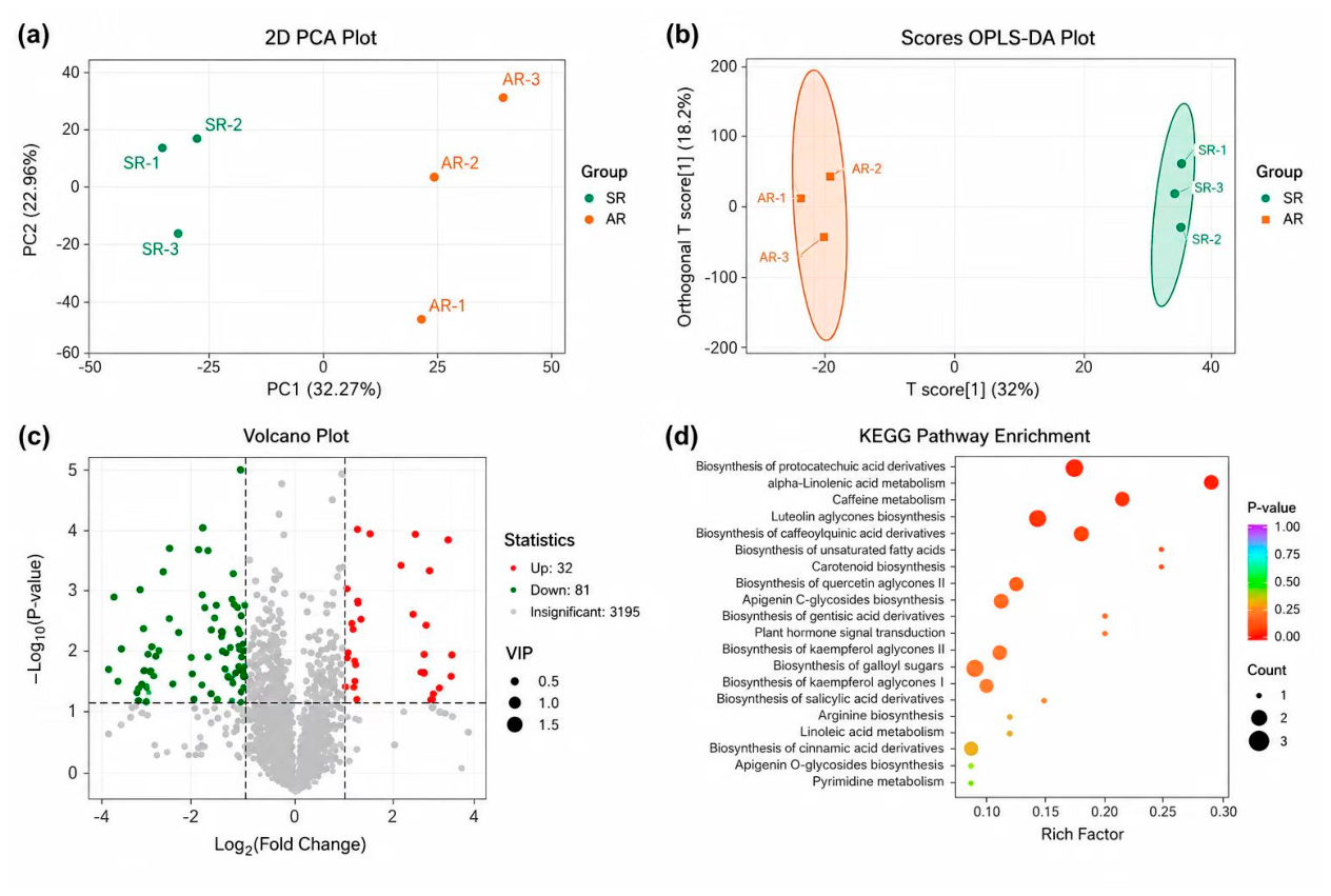 Preprints 222183 g004 Preprints 222183 g004