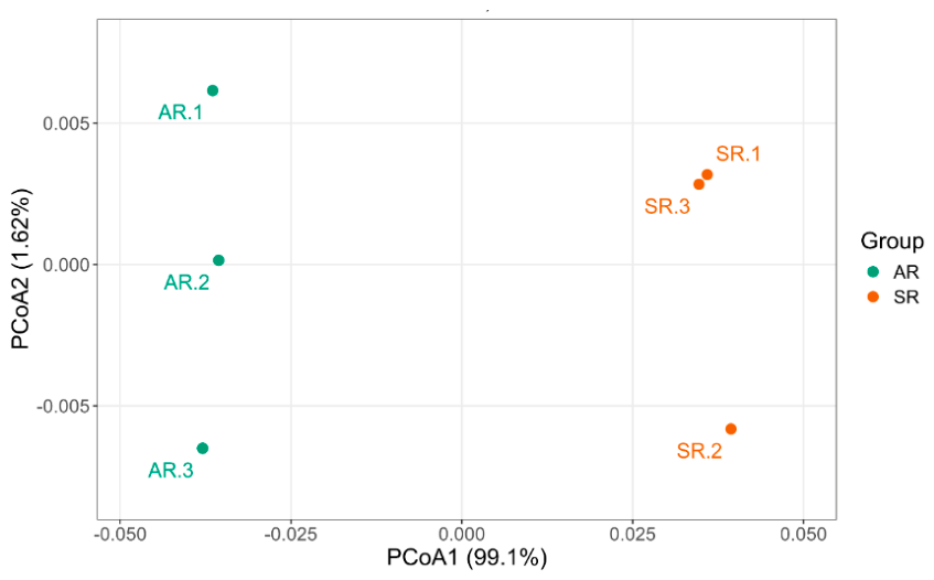Preprints 222183 g006 Preprints 222183 g006