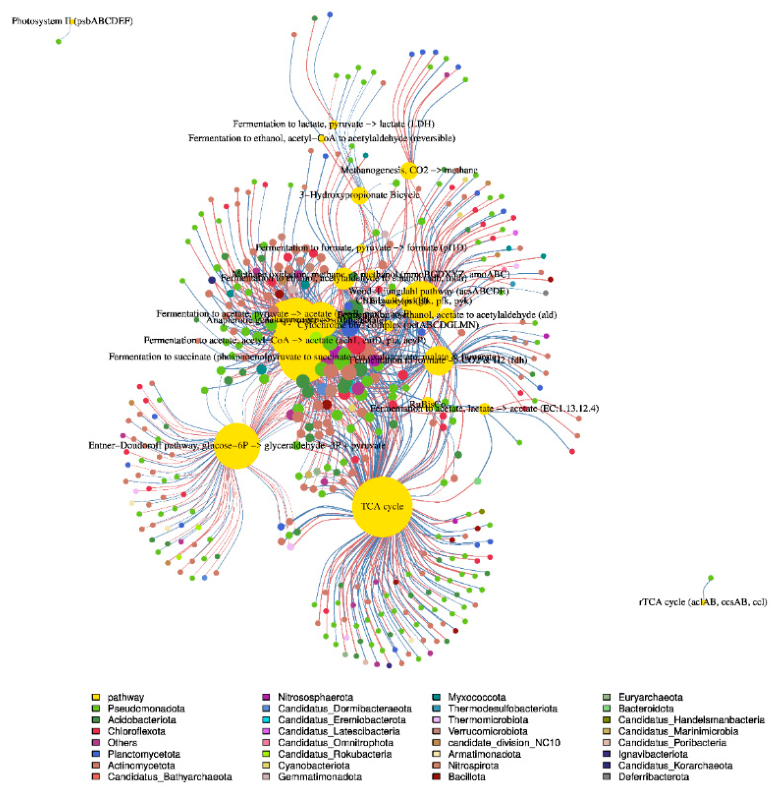 Preprints 222183 g011 Preprints 222183 g011