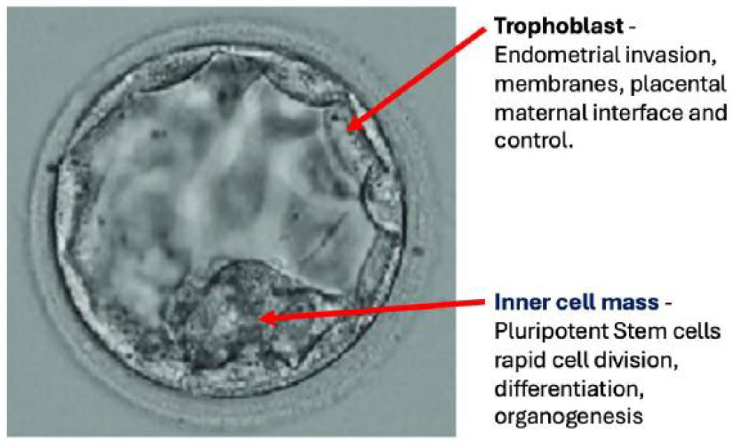 Preprints 173360 g003