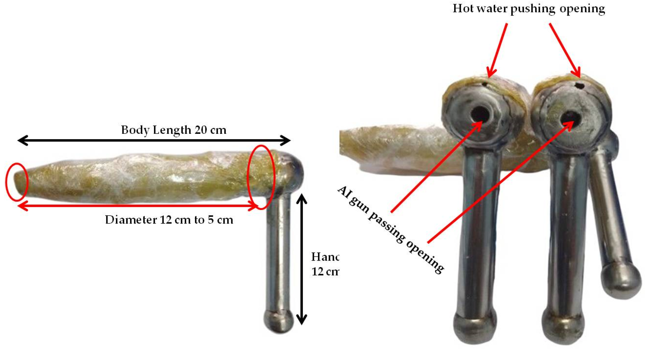 Preprints 146061 g001