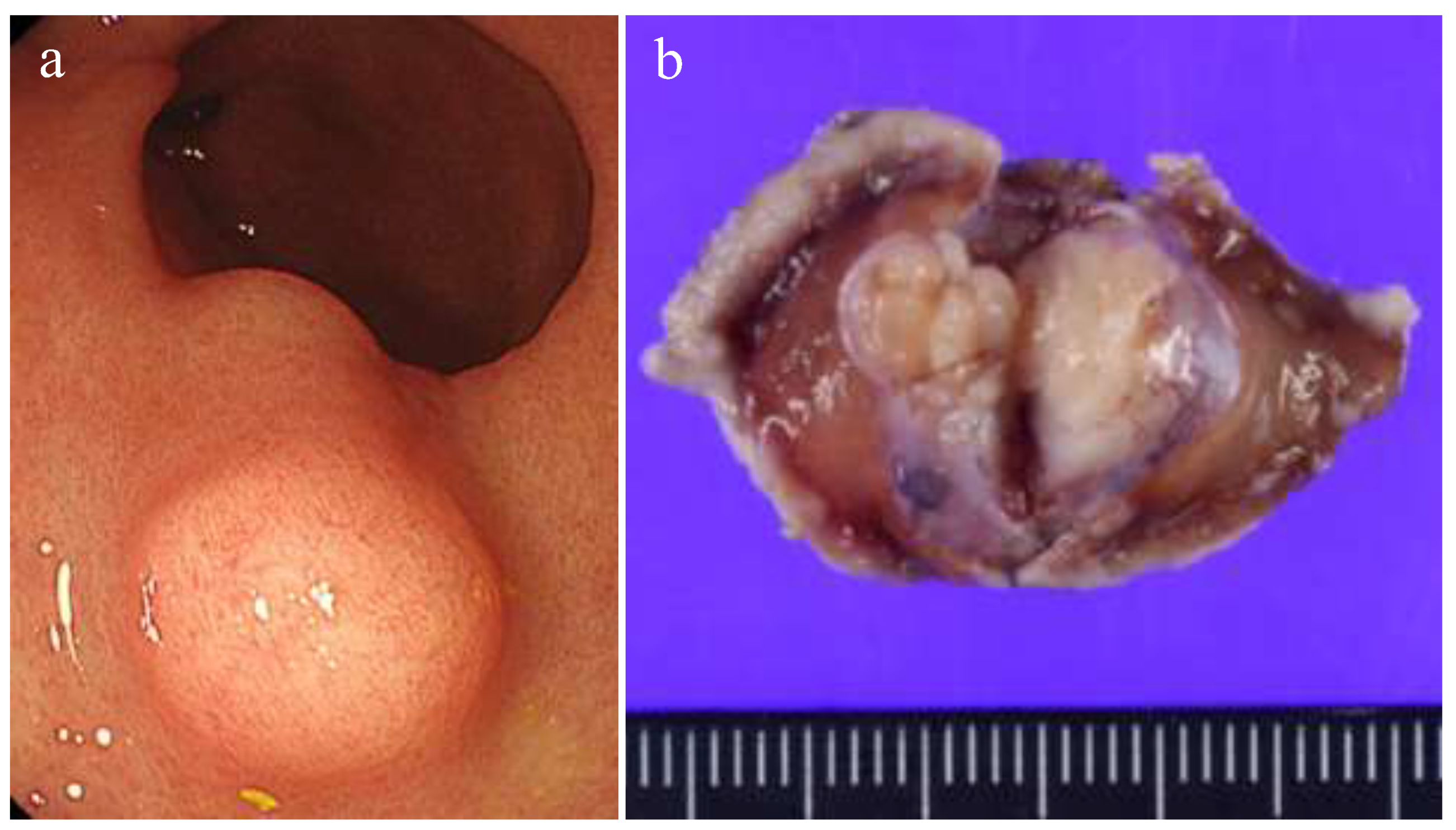 Preprints 194963 g001