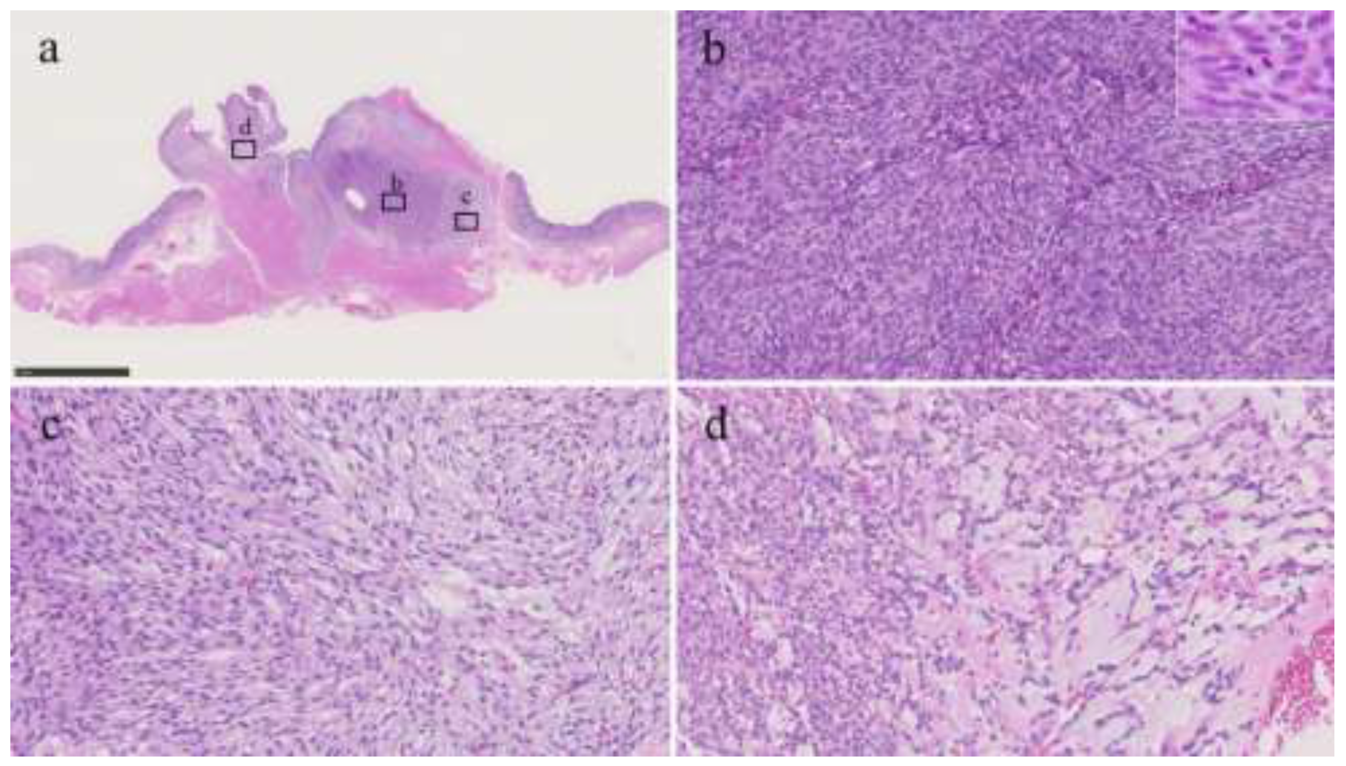 Preprints 194963 g002