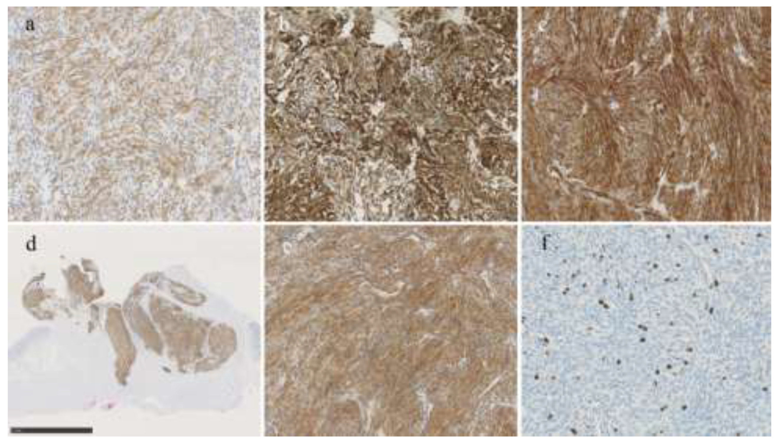 Preprints 194963 g003