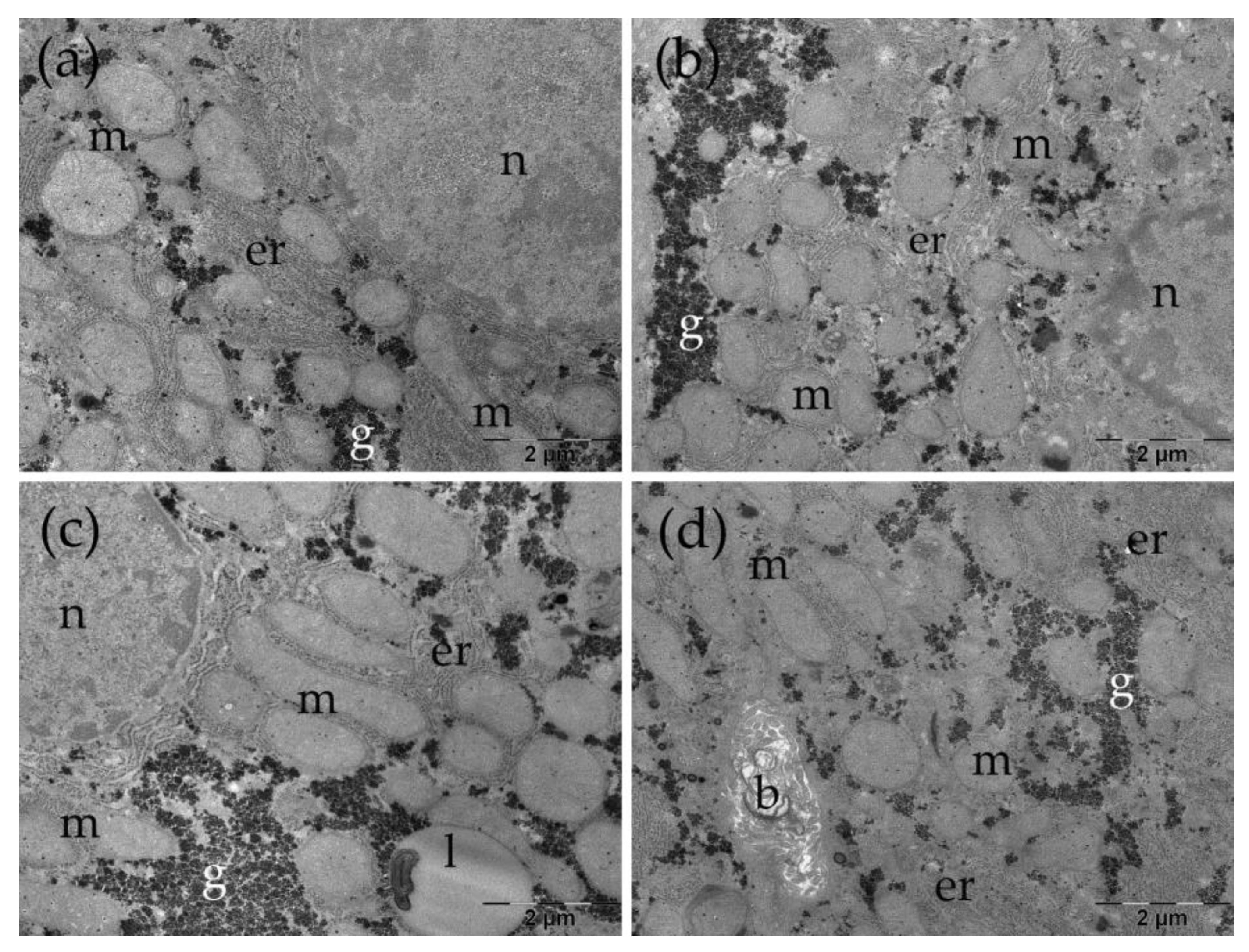 Preprints 196238 g005