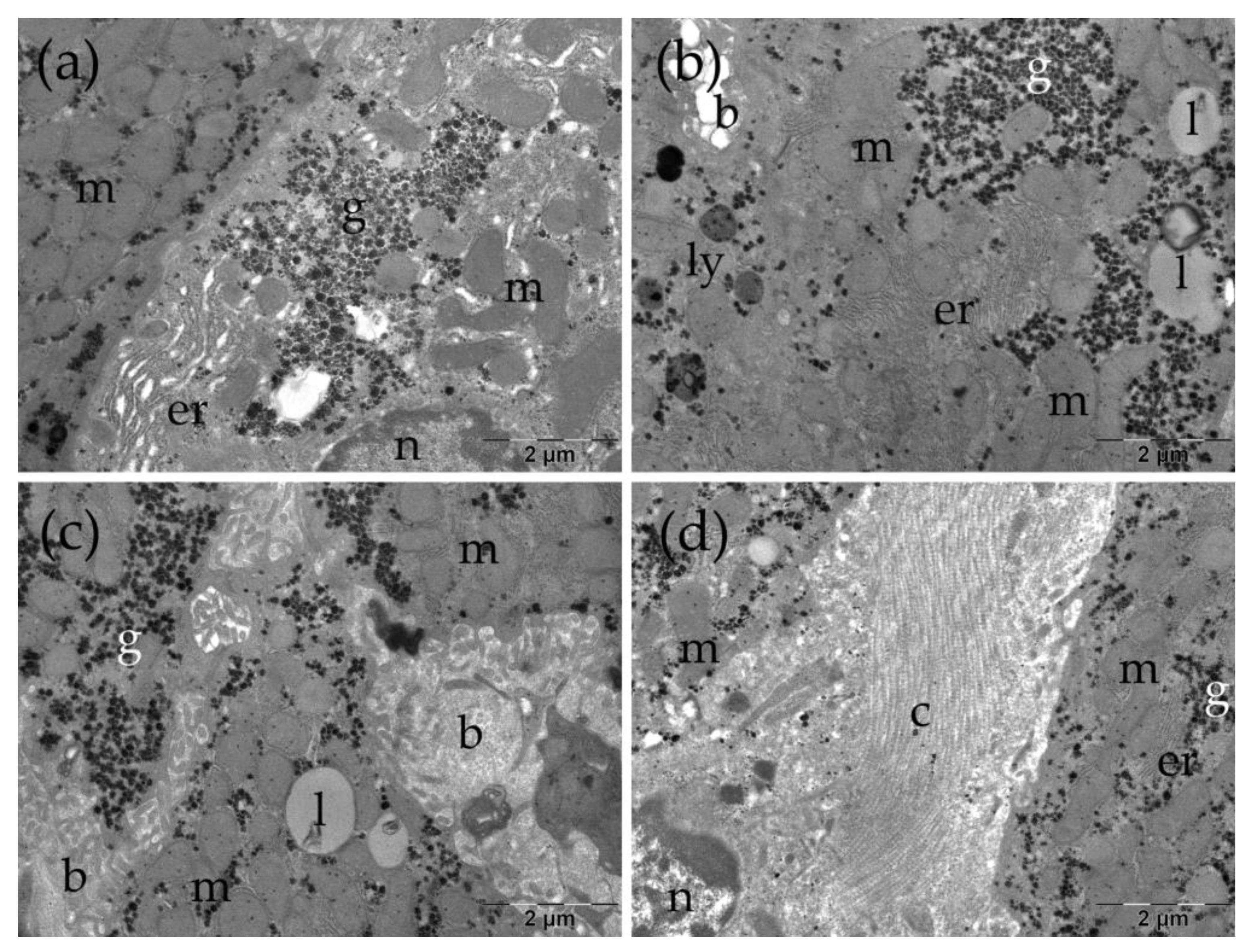 Preprints 196238 g007
