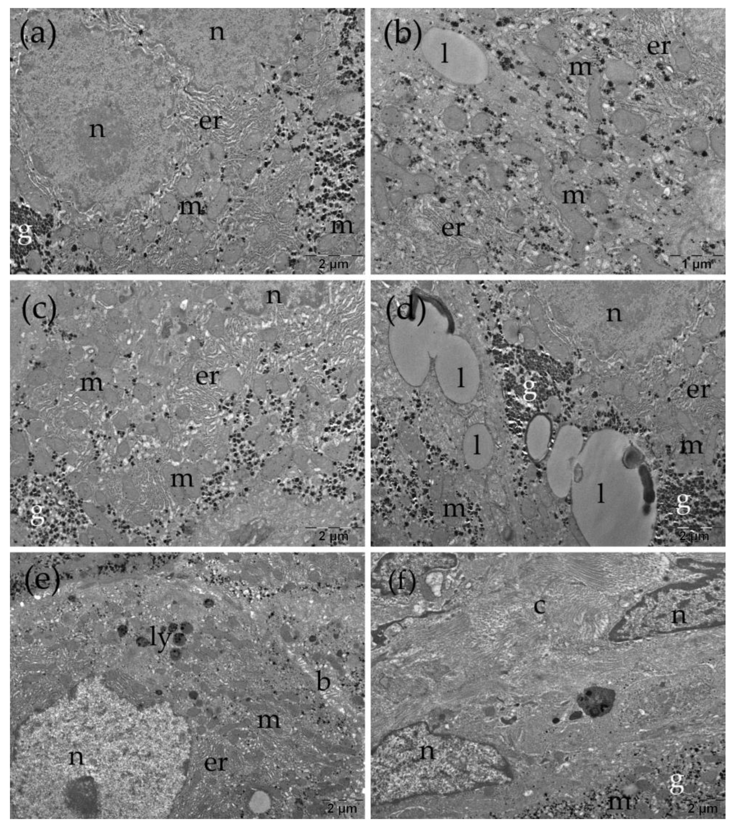 Preprints 196238 g008