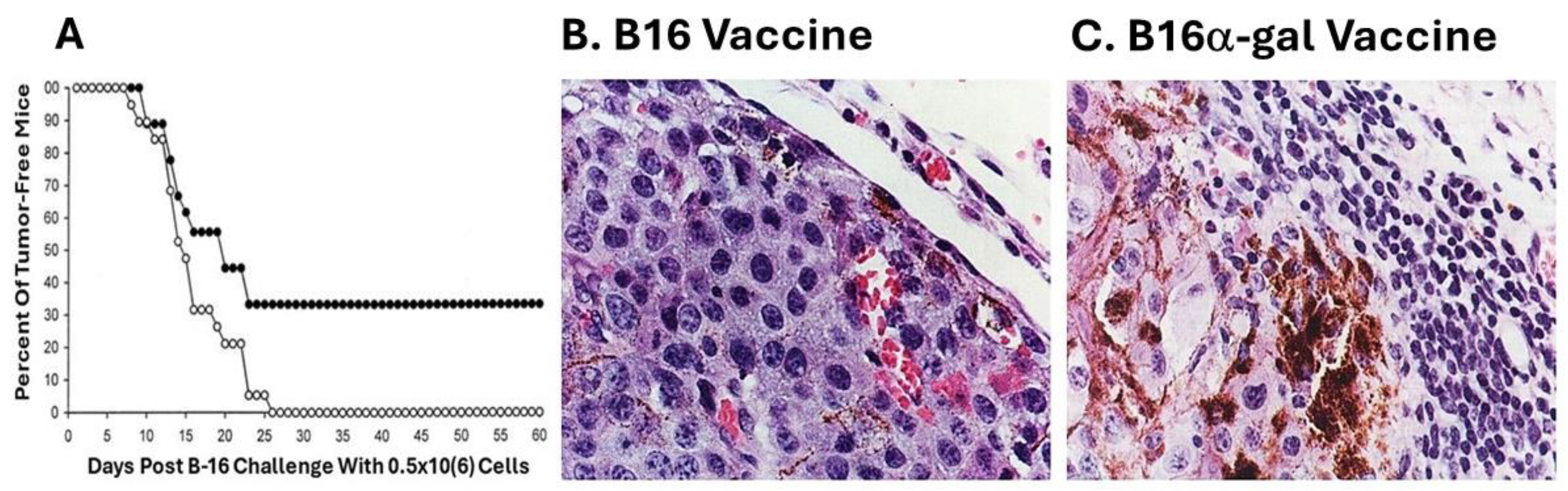 Preprints 115034 g002