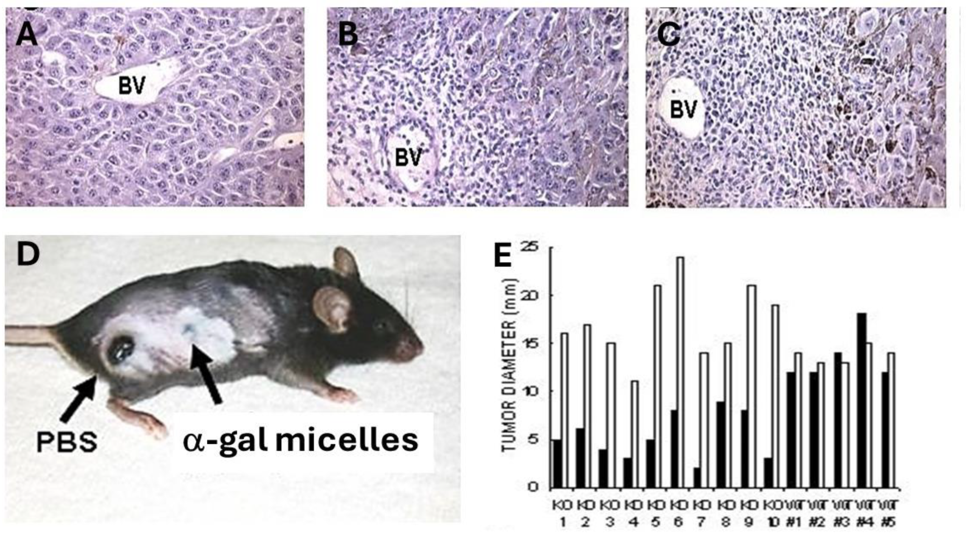 Preprints 115034 g004