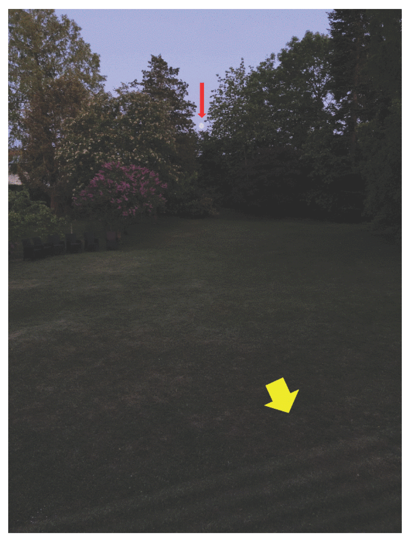 Preprints 186171 g001