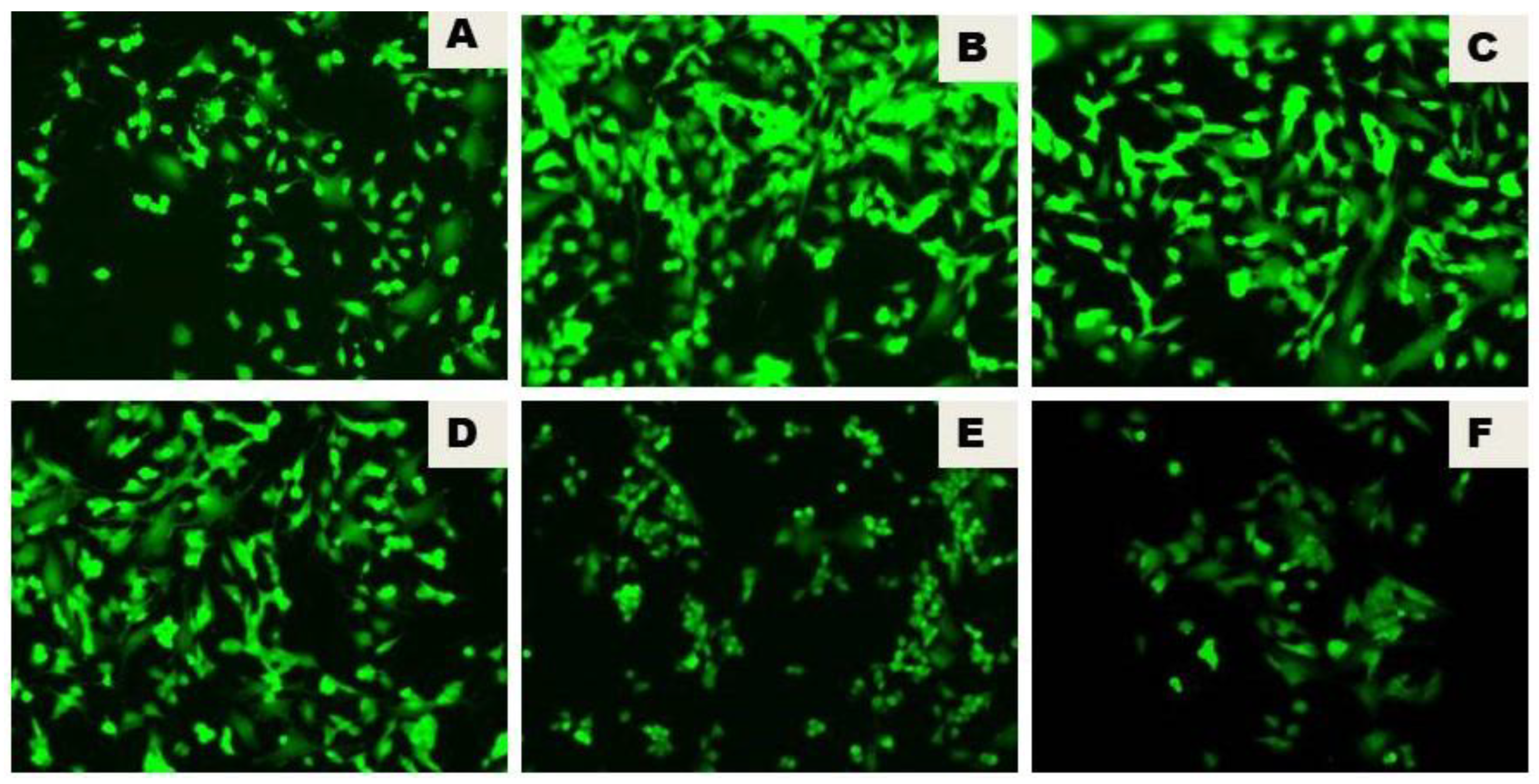 Preprints 194035 g003