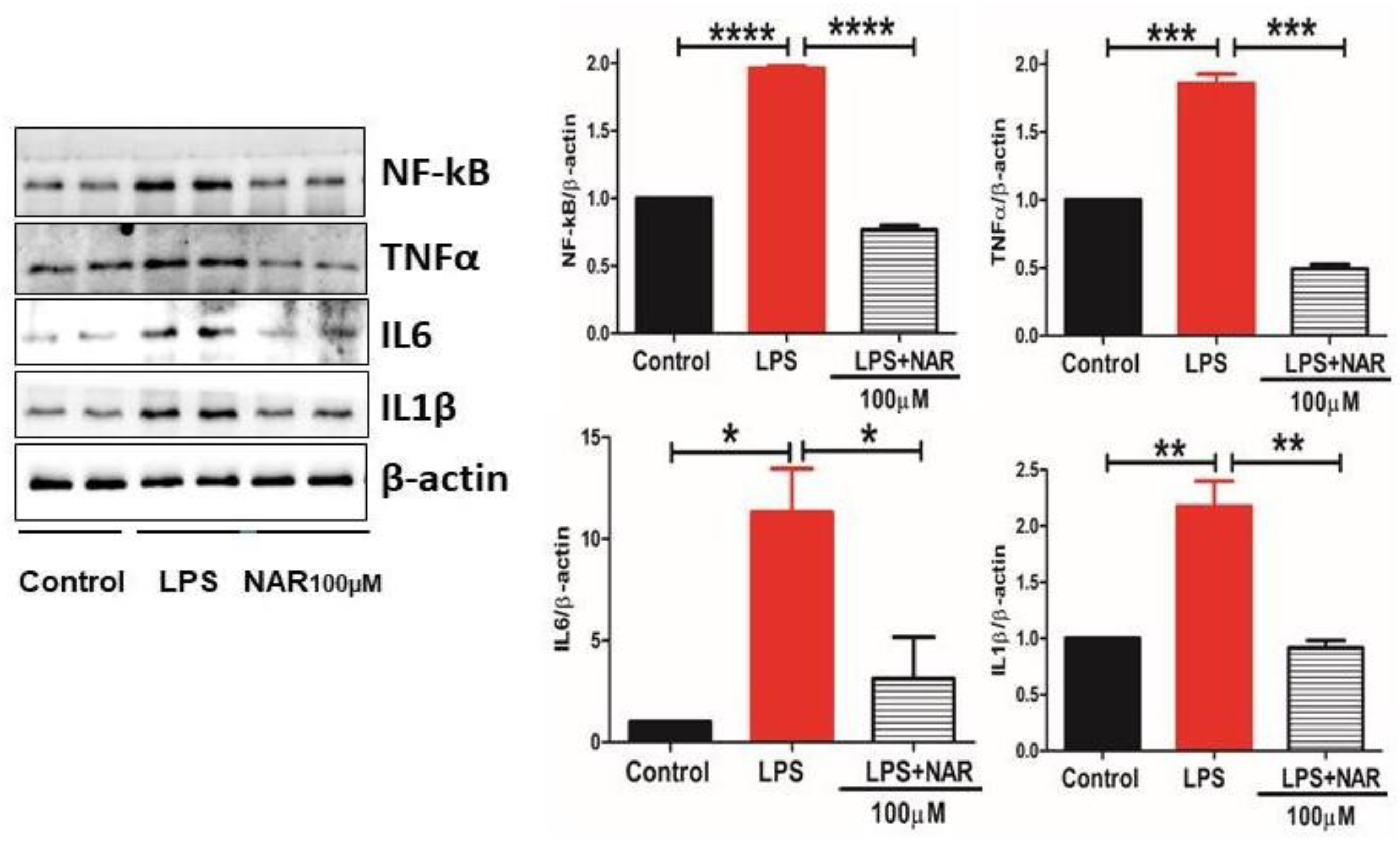 Preprints 194035 g004