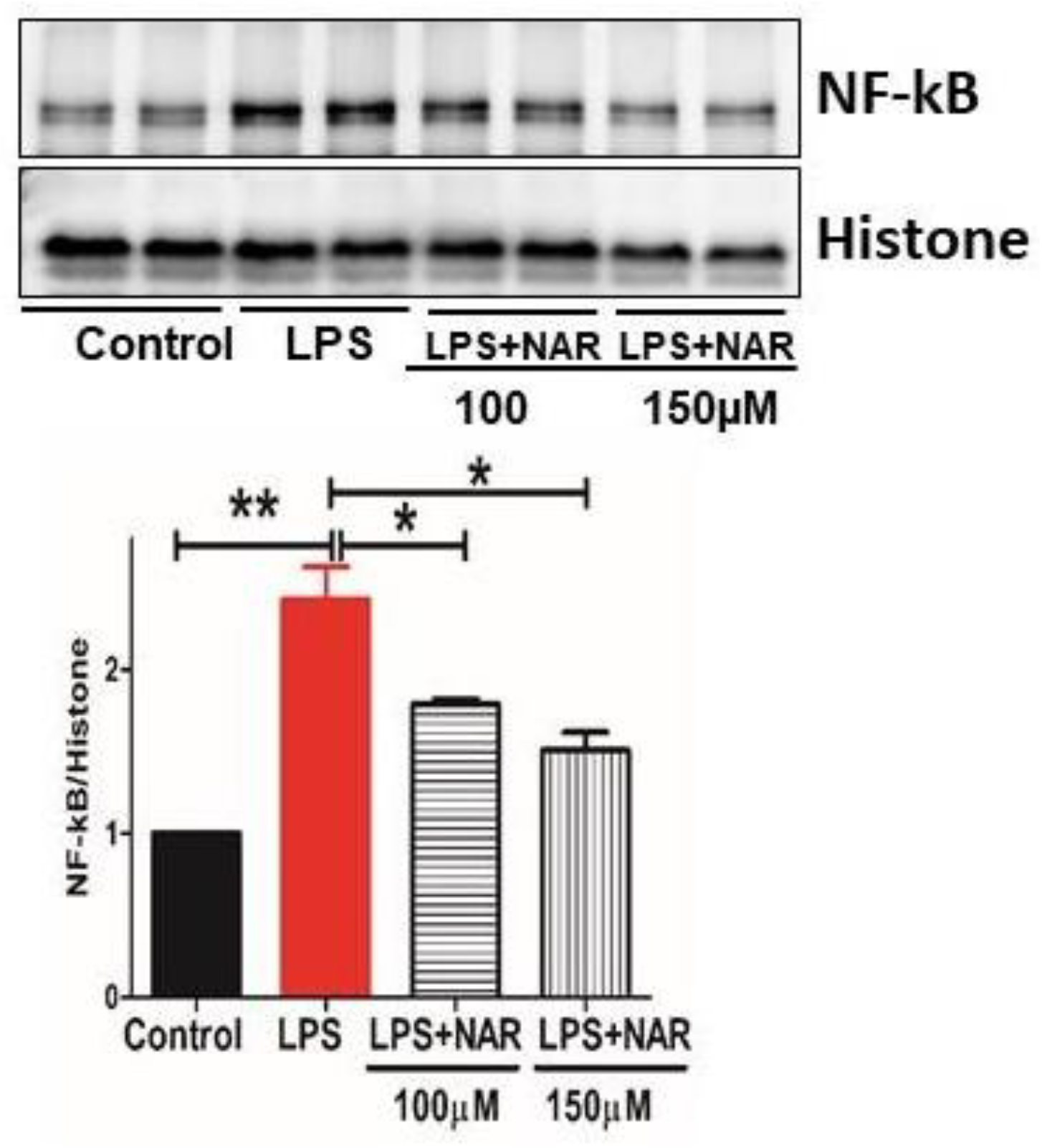 Preprints 194035 g005