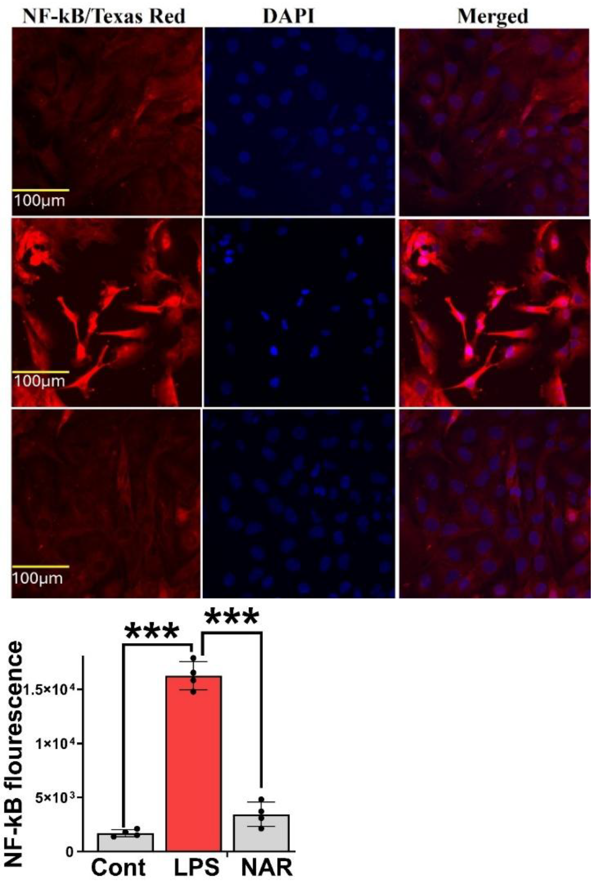 Preprints 194035 g006