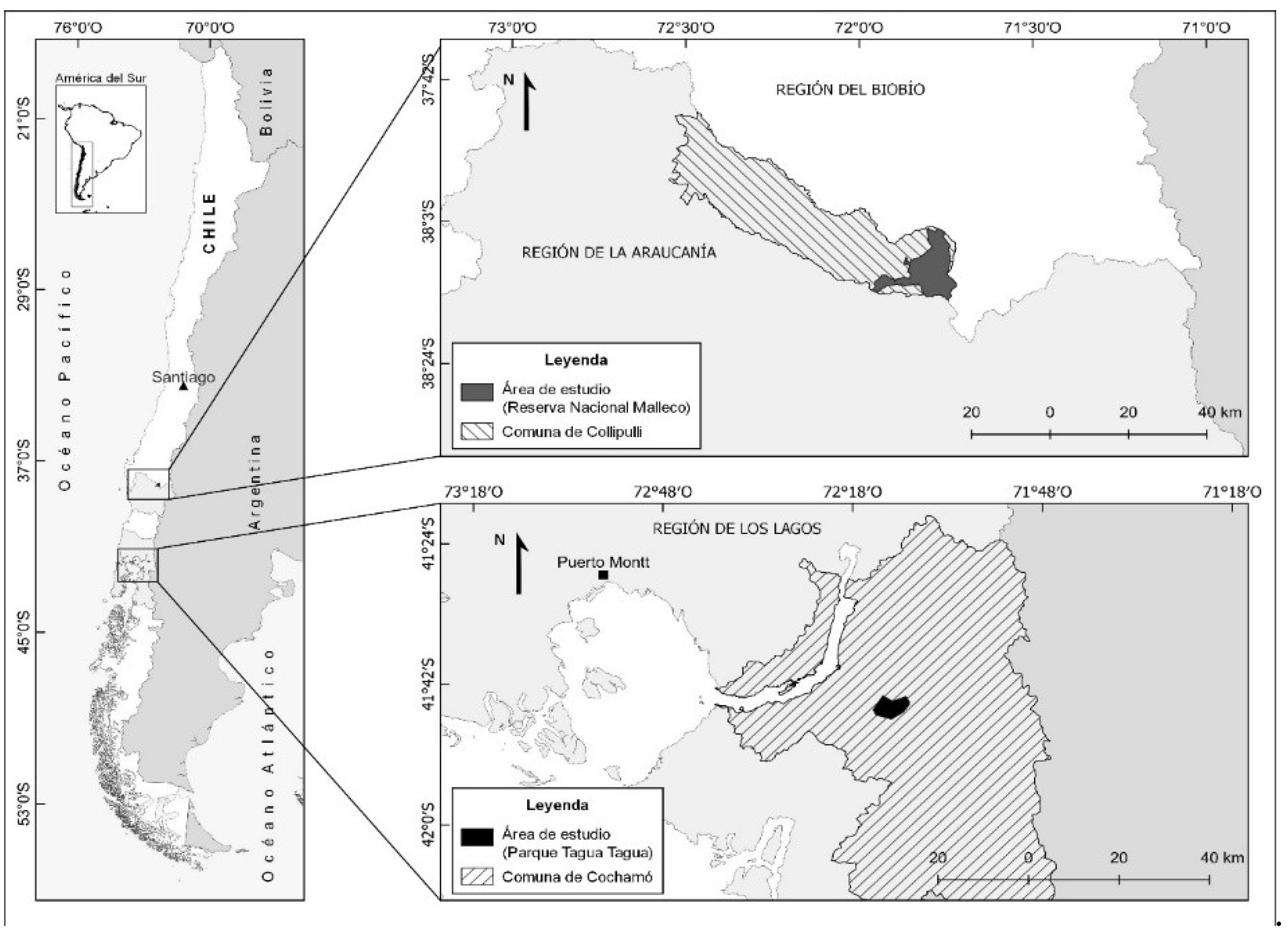 Preprints 200360 g001