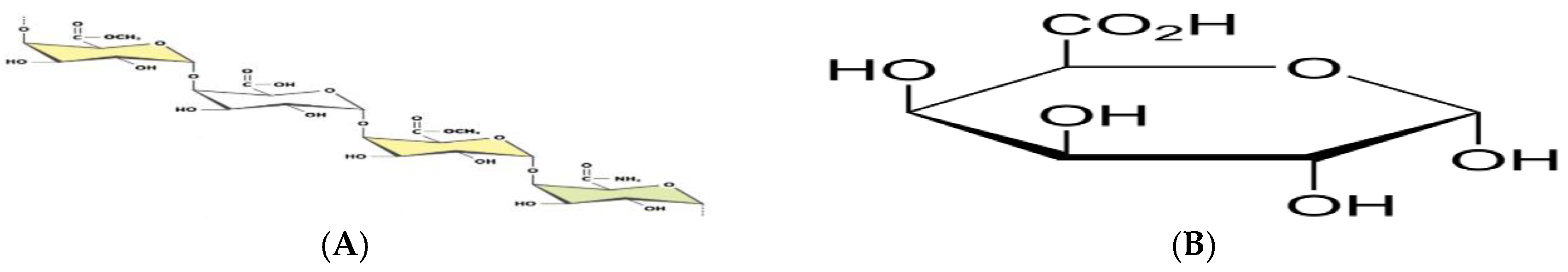 Preprints 147960 g001