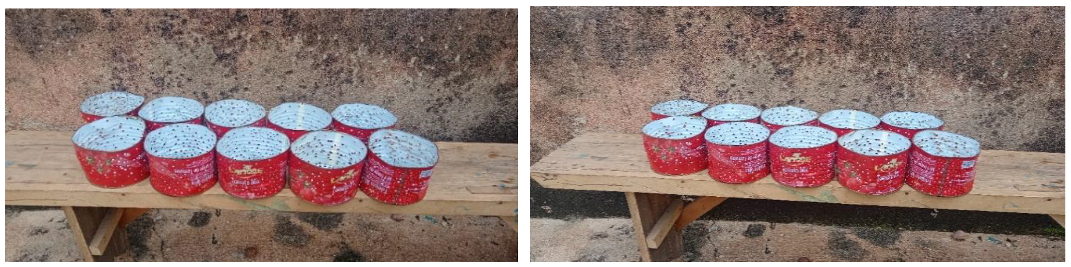 Preprints 147960 g003