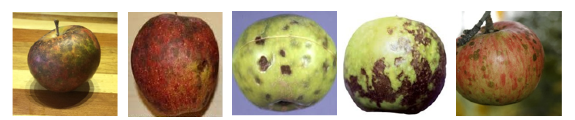 A Comprehensive Hybrid Model For Apple Fruit Disease Detection Using ...