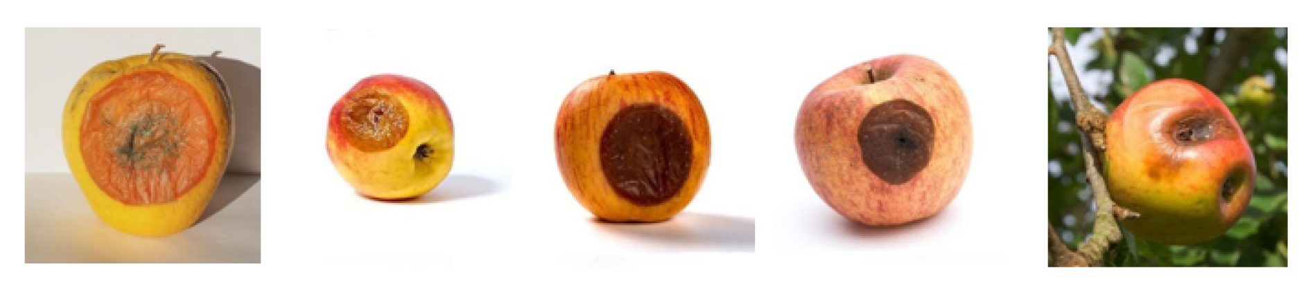 Preprints 122141 g003