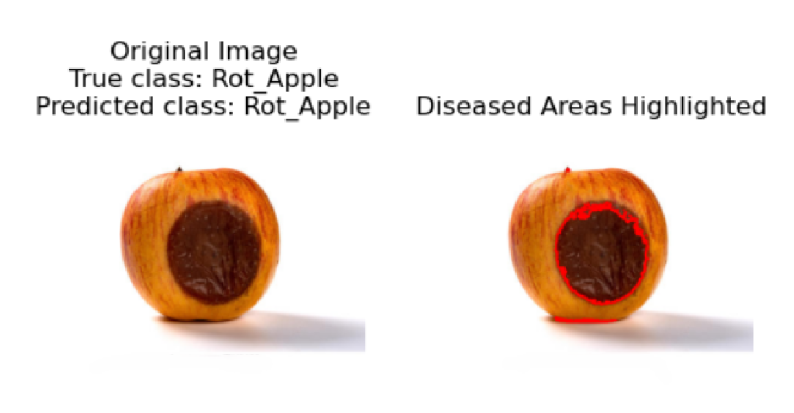 Preprints 122141 g018