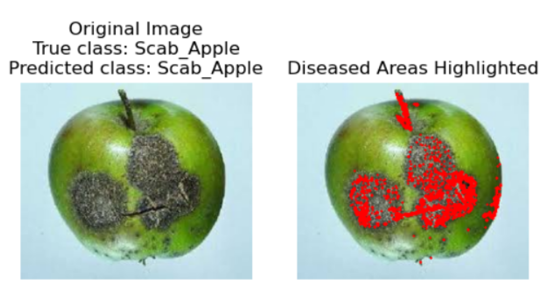 Preprints 122141 g019