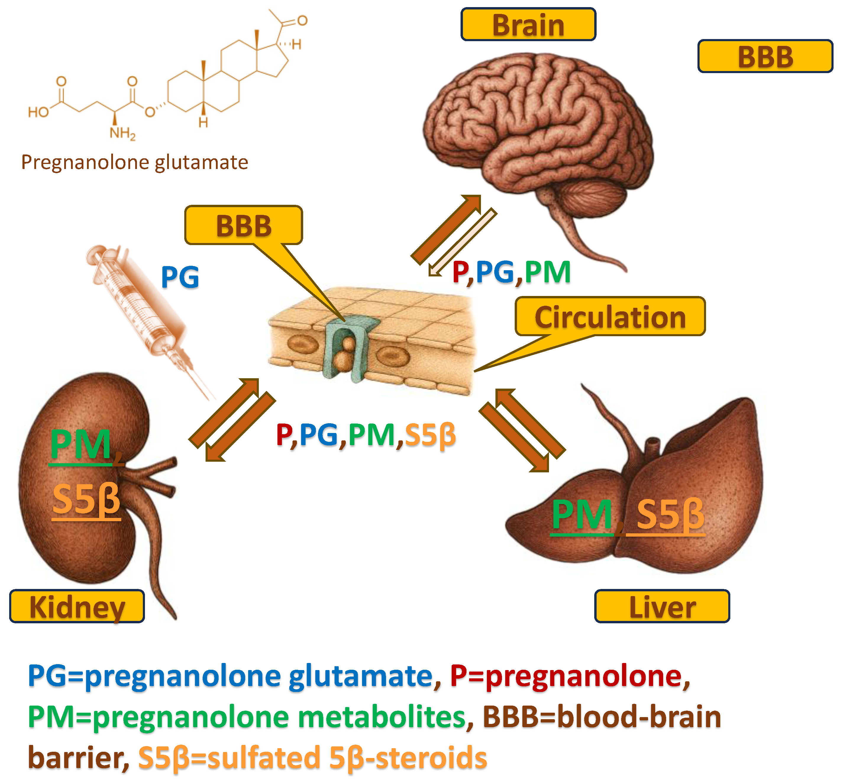 Preprints 195450 g001