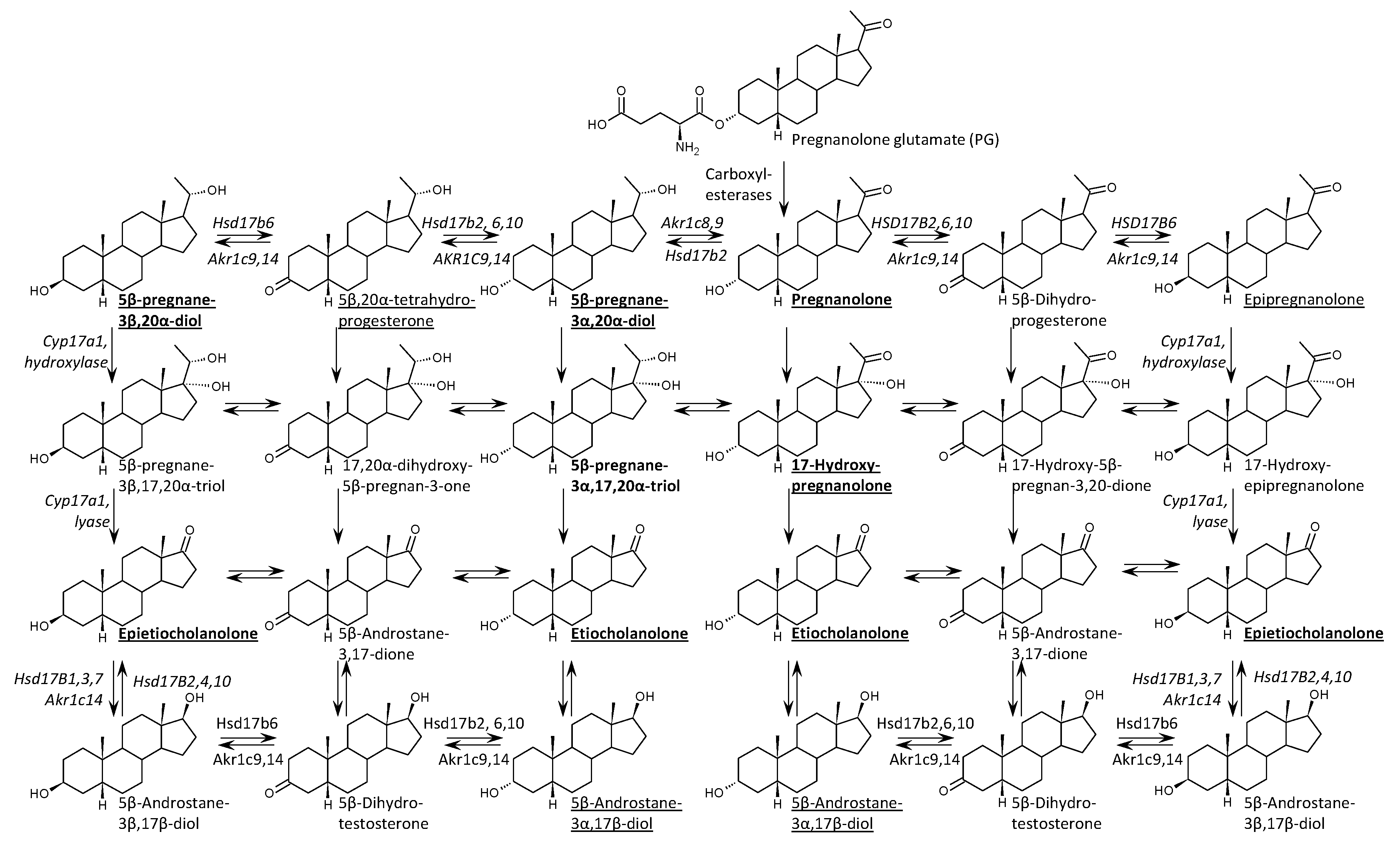 Preprints 195450 g002