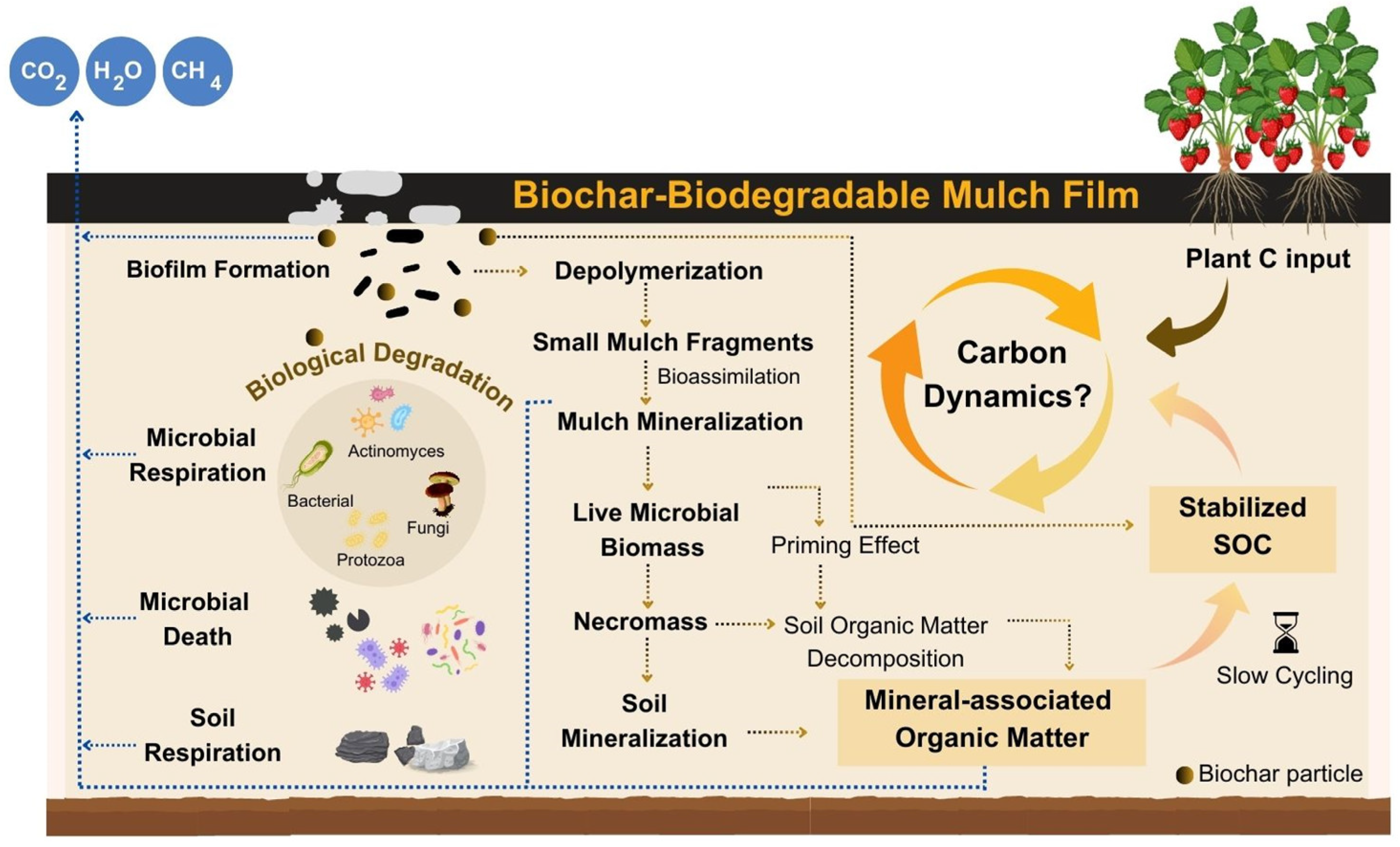 Preprints 139583 g002