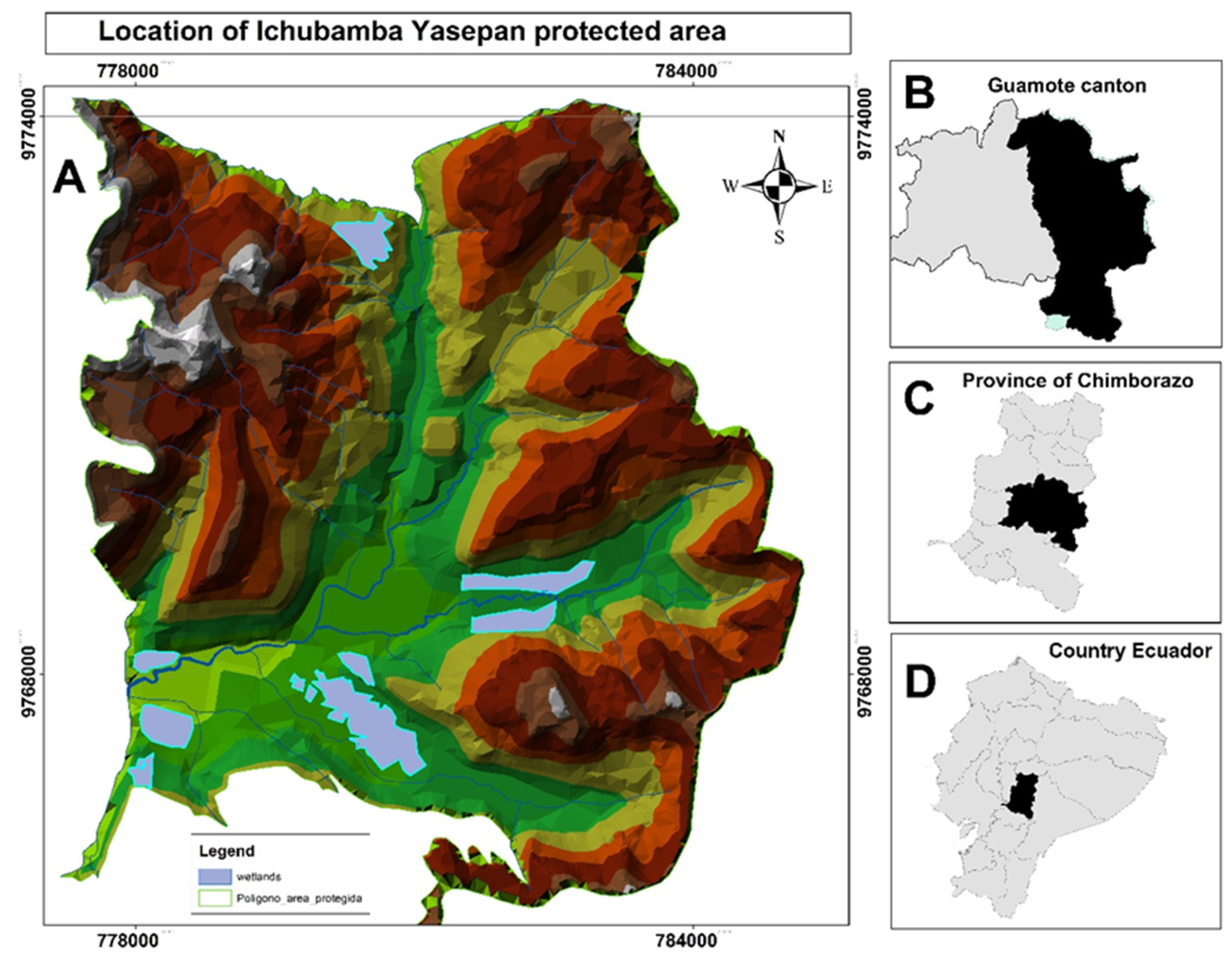 Preprints 162539 g001