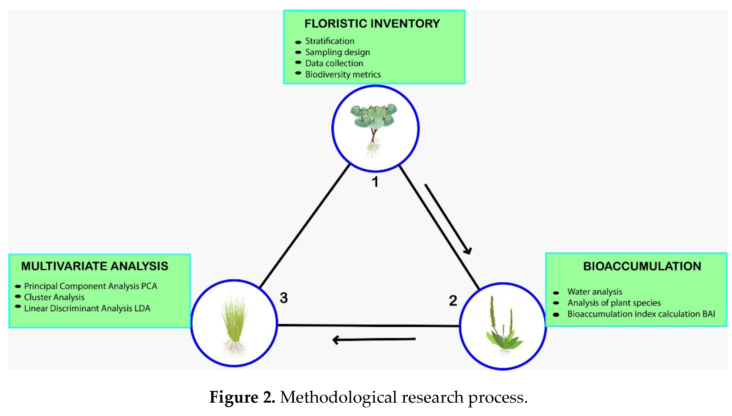 Preprints 162539 g002