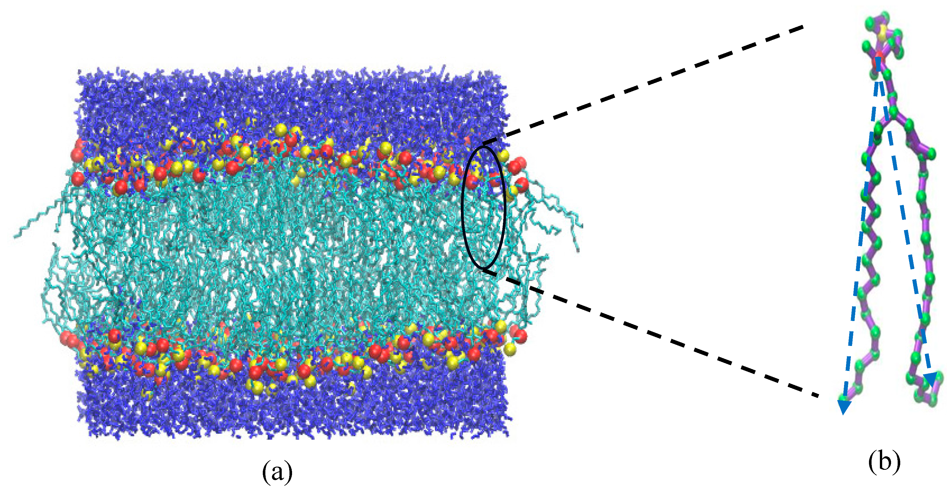 Preprints 153867 g001