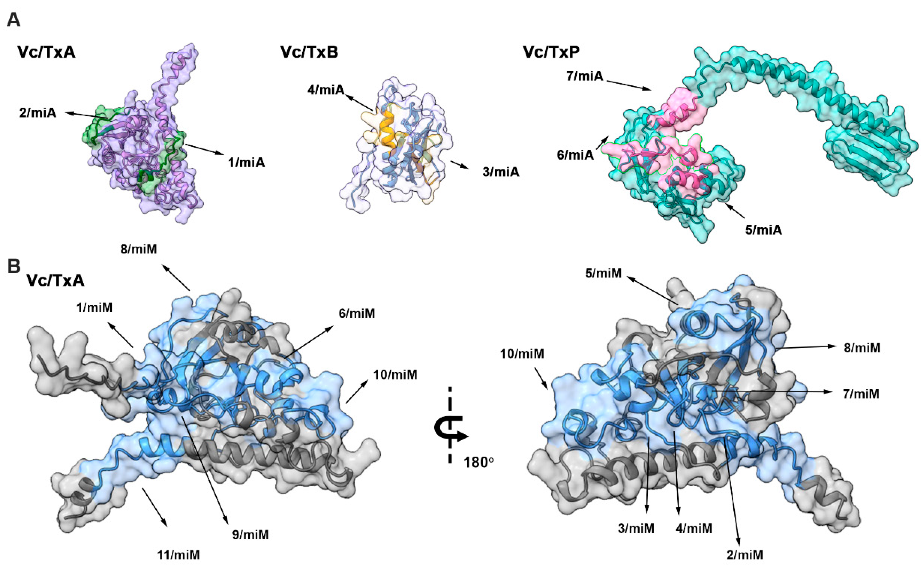 Preprints 143150 g002