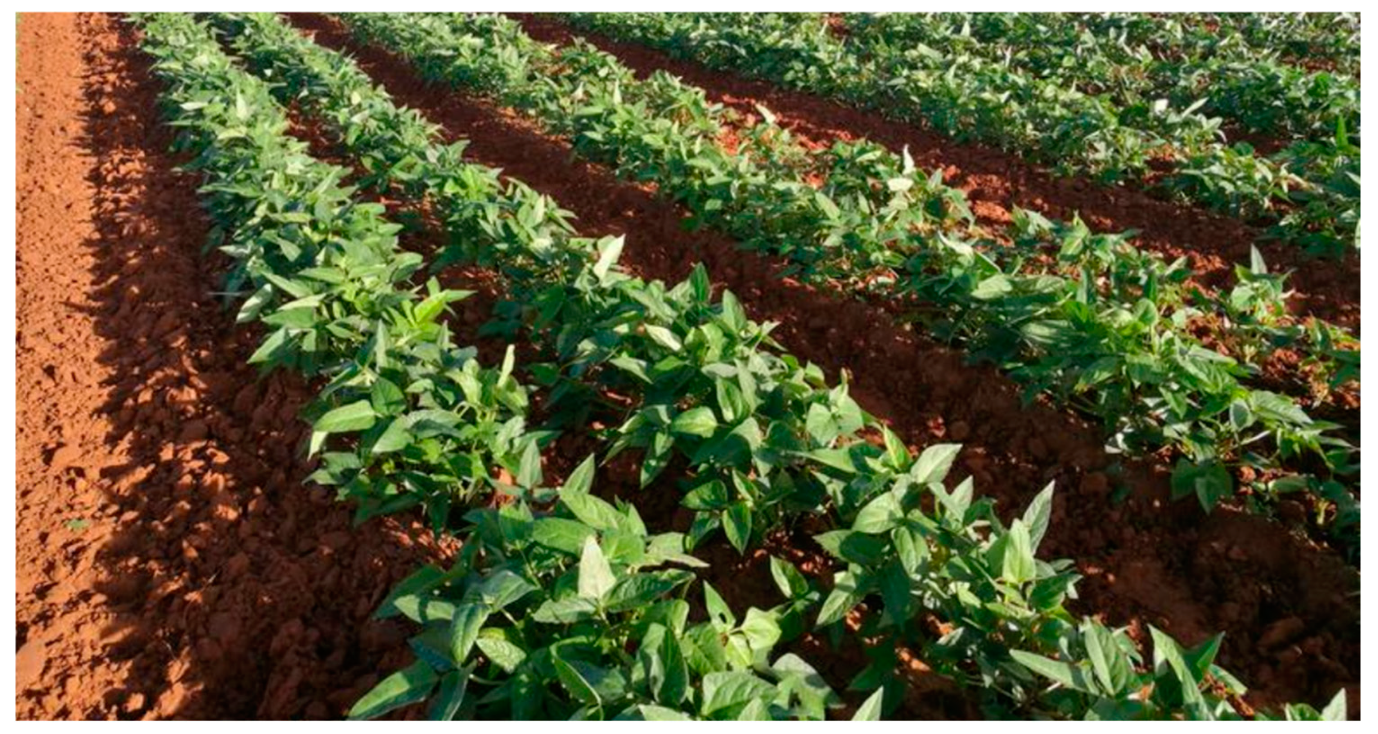 Preprints 140519 g001