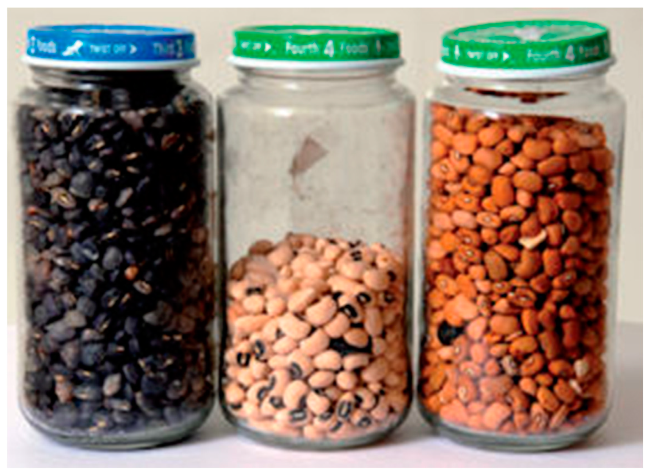 Preprints 140519 g002