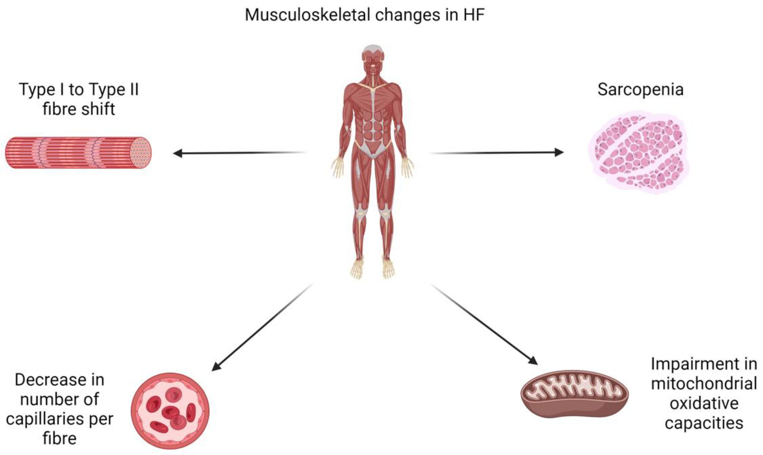 Preprints 139756 g001
