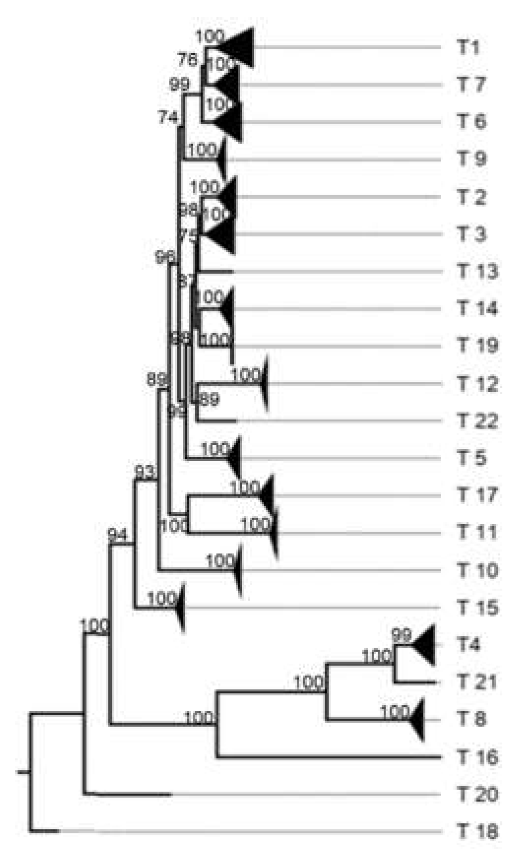 Preprints 142831 g0a11