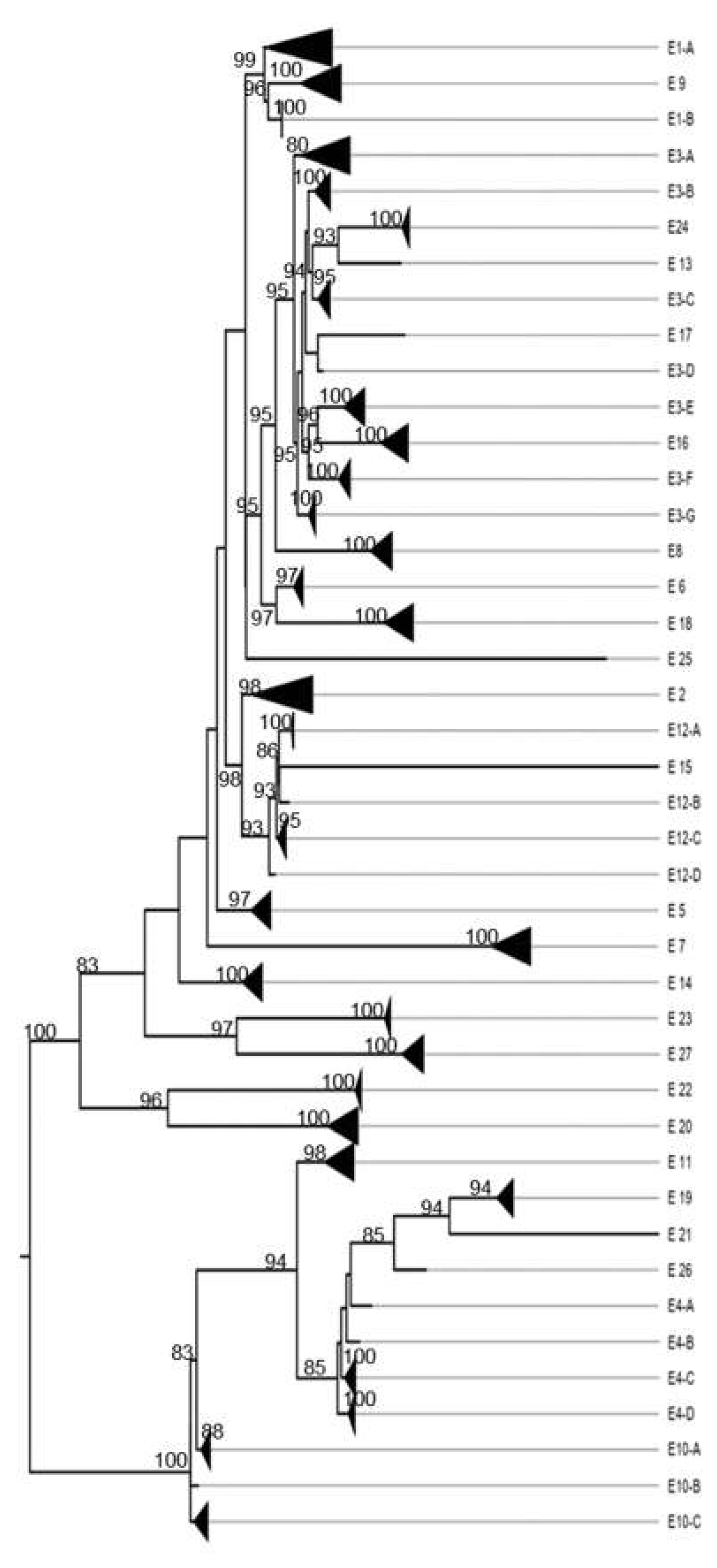 Preprints 142831 g0a12
