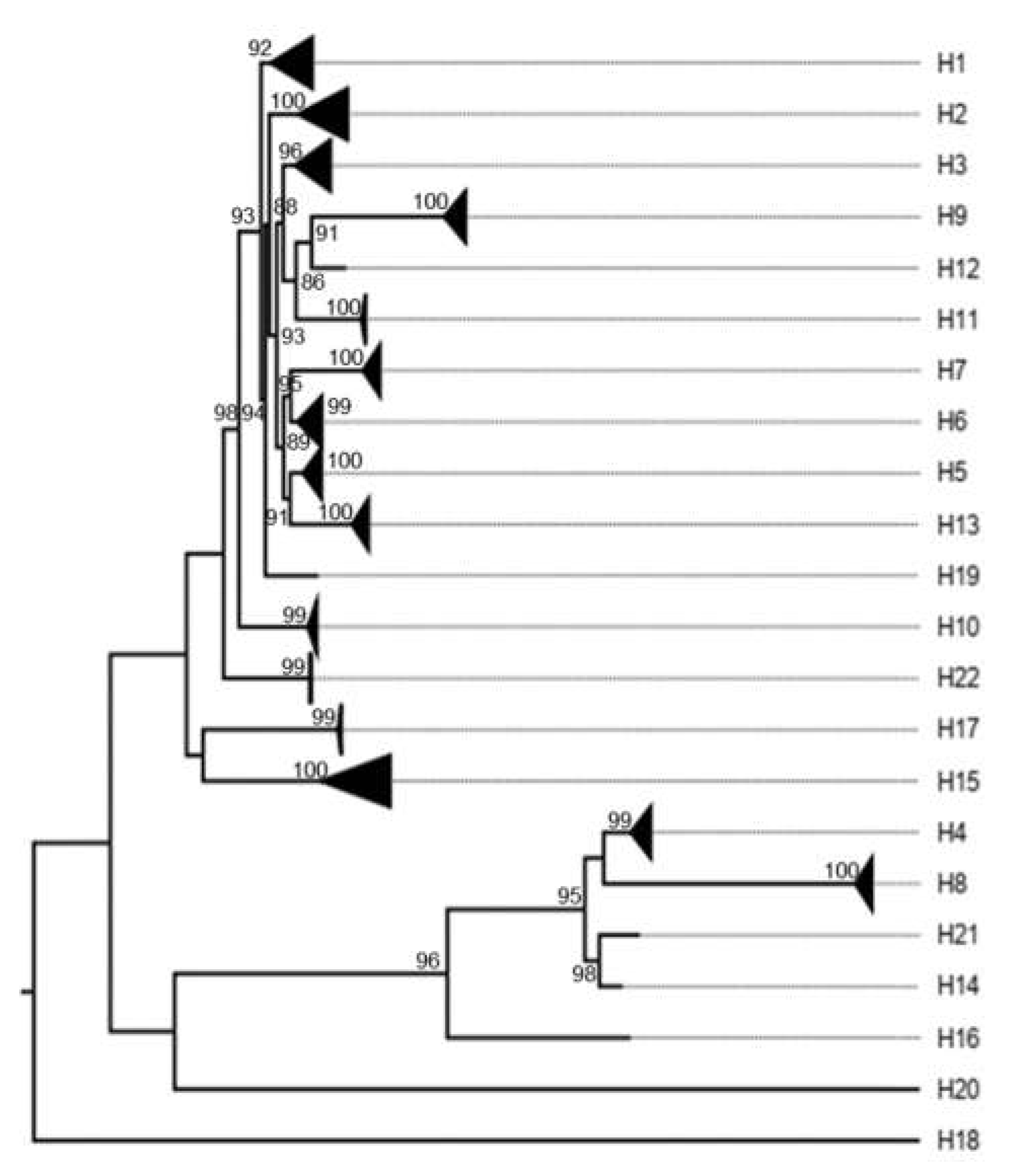 Preprints 142831 g0a13