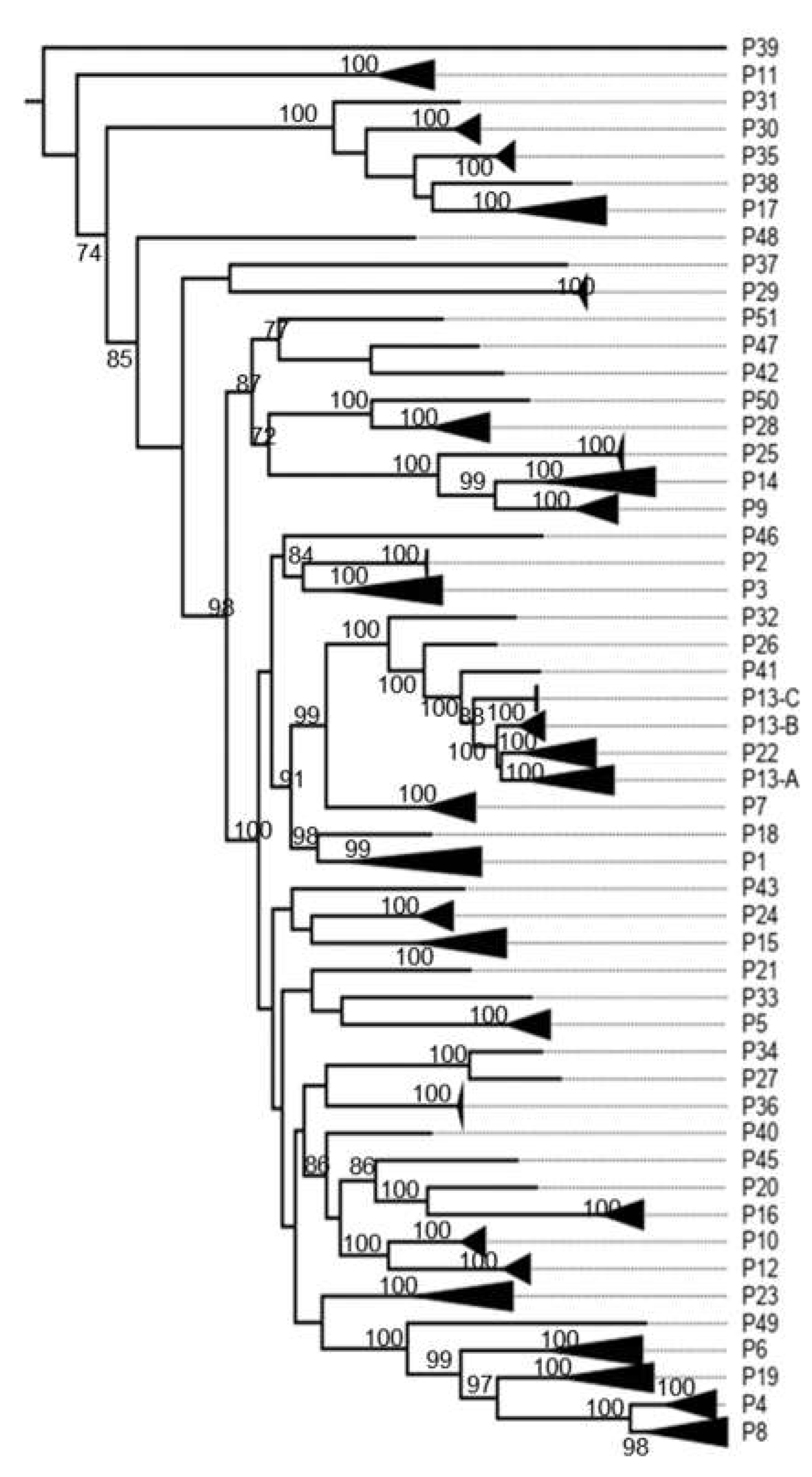 Preprints 142831 g0a4