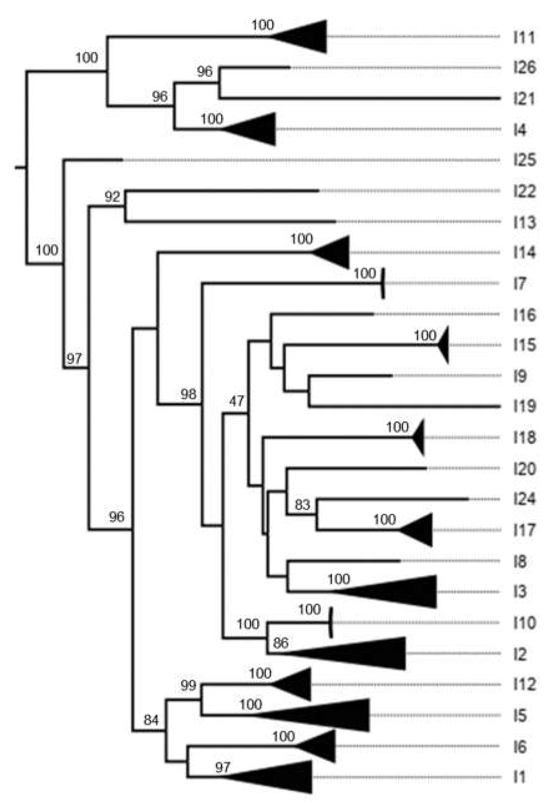 Preprints 142831 g0a5