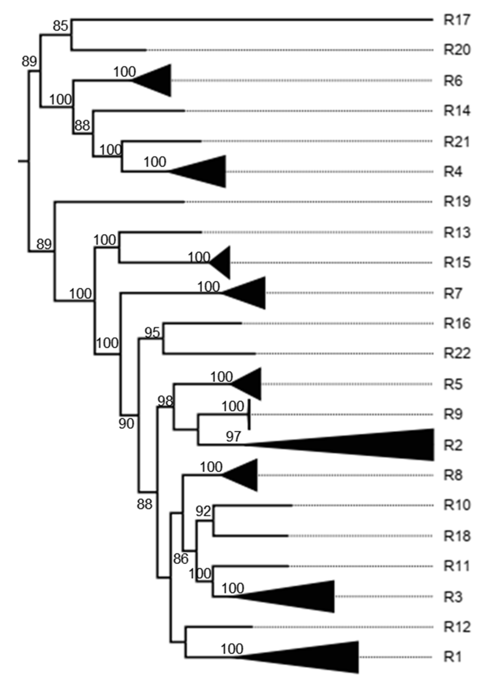 Preprints 142831 g0a6