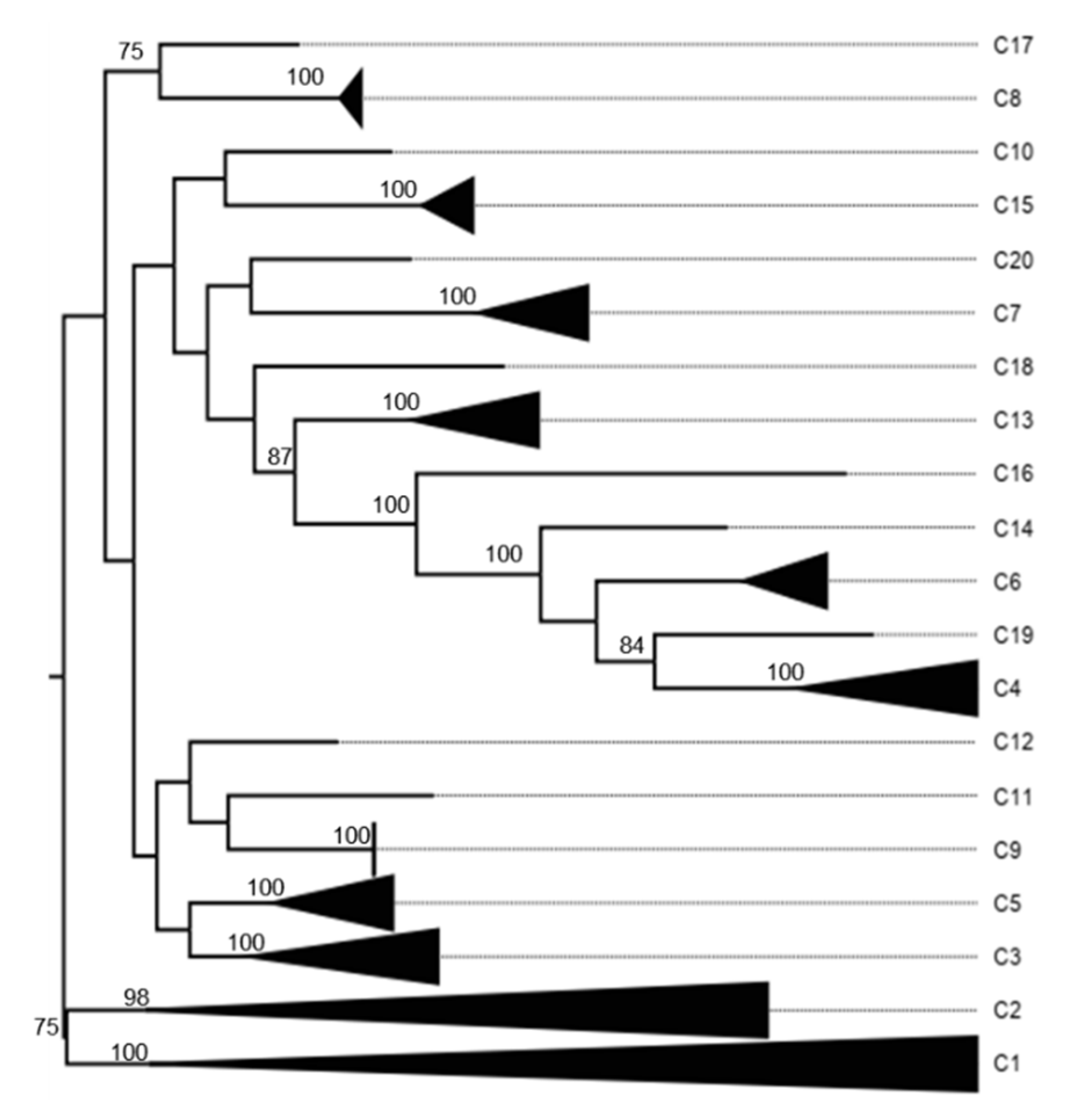 Preprints 142831 g0a7