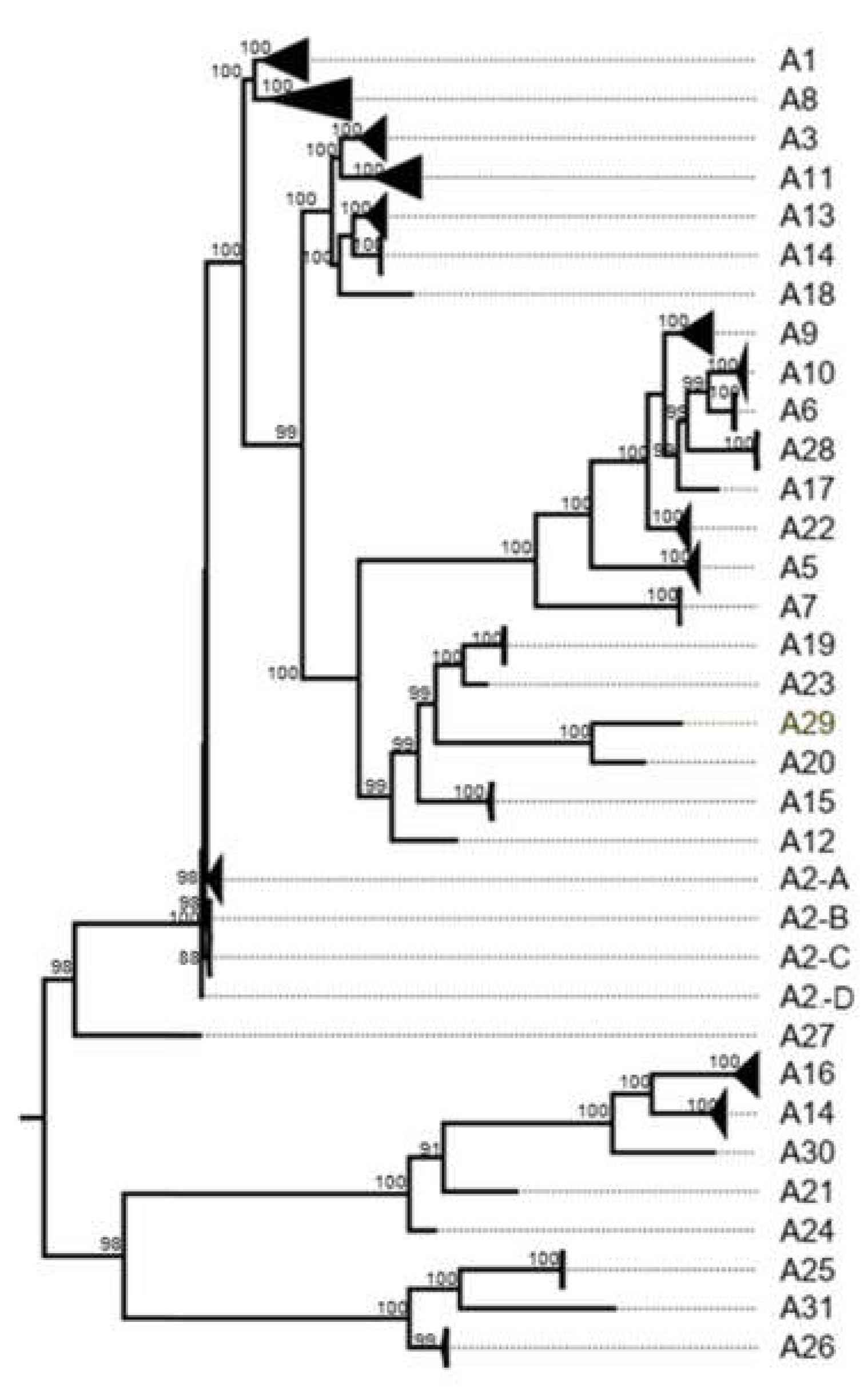 Preprints 142831 g0a9