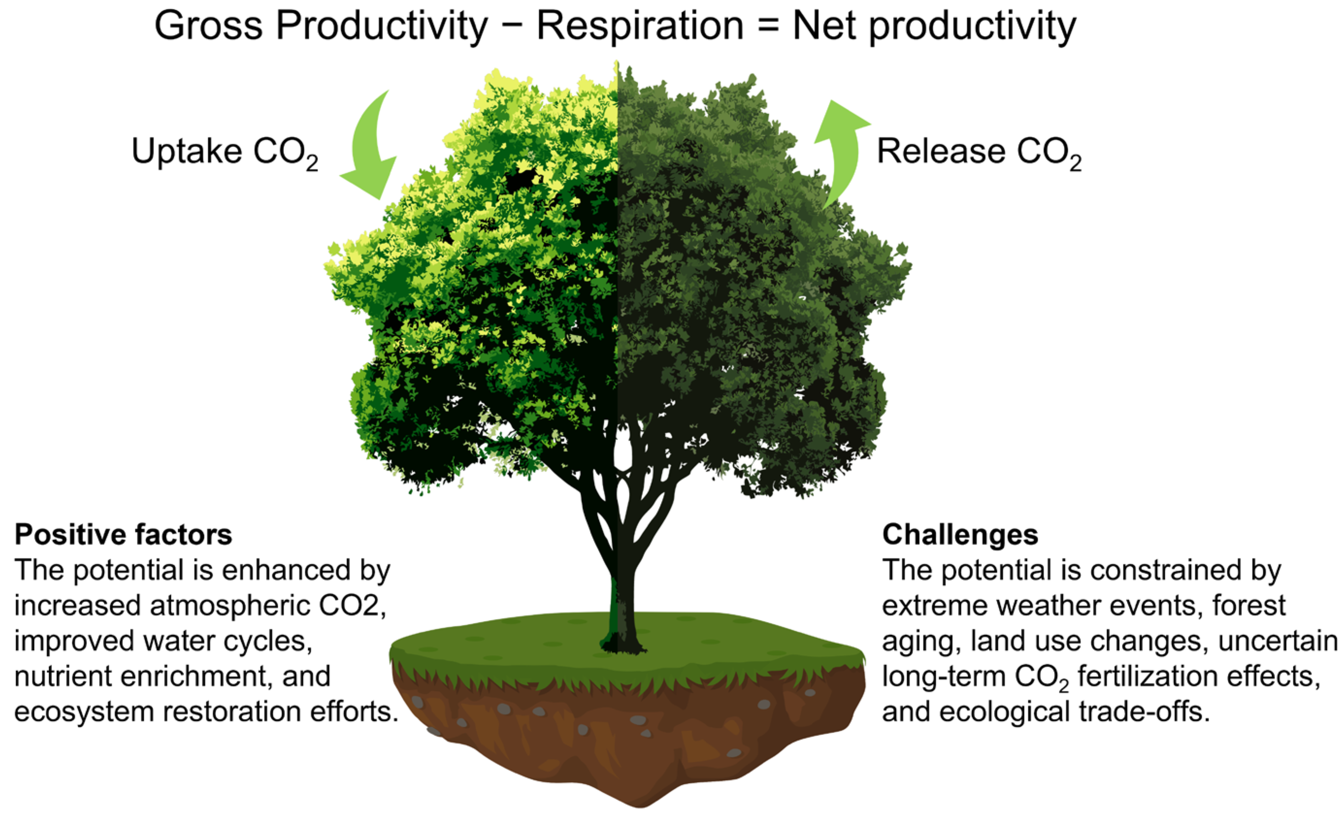 Preprints 174975 g001