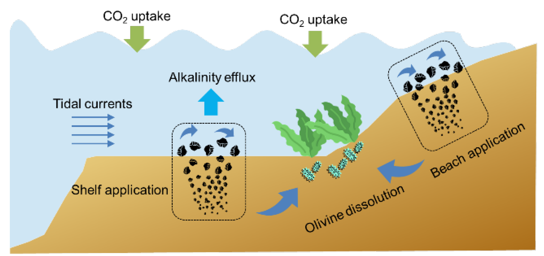 Preprints 174975 g003