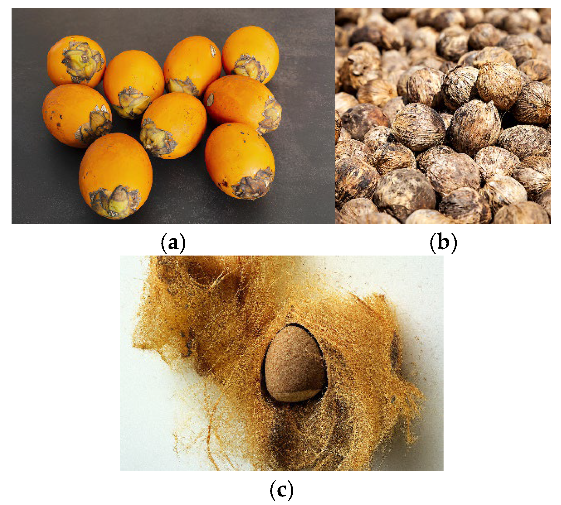 Preprints 184966 g001