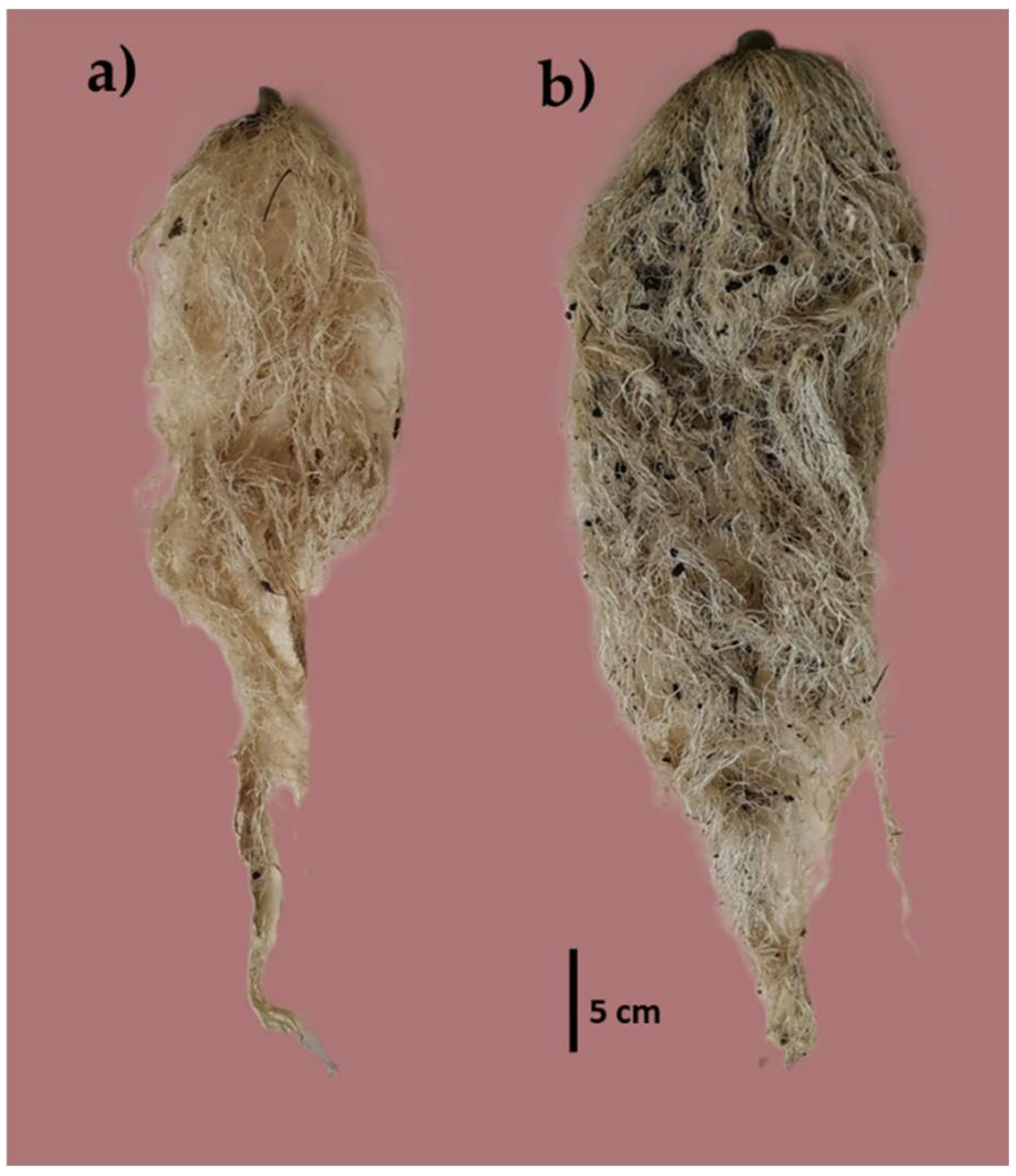 Preprints 107136 g003