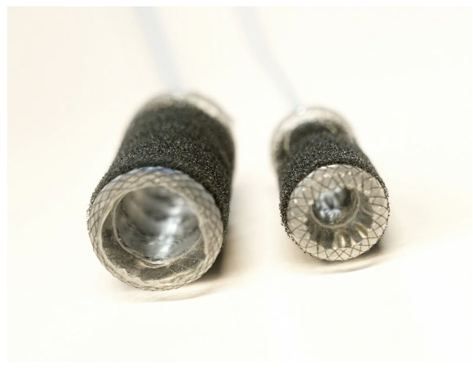 Preprints 110260 g001