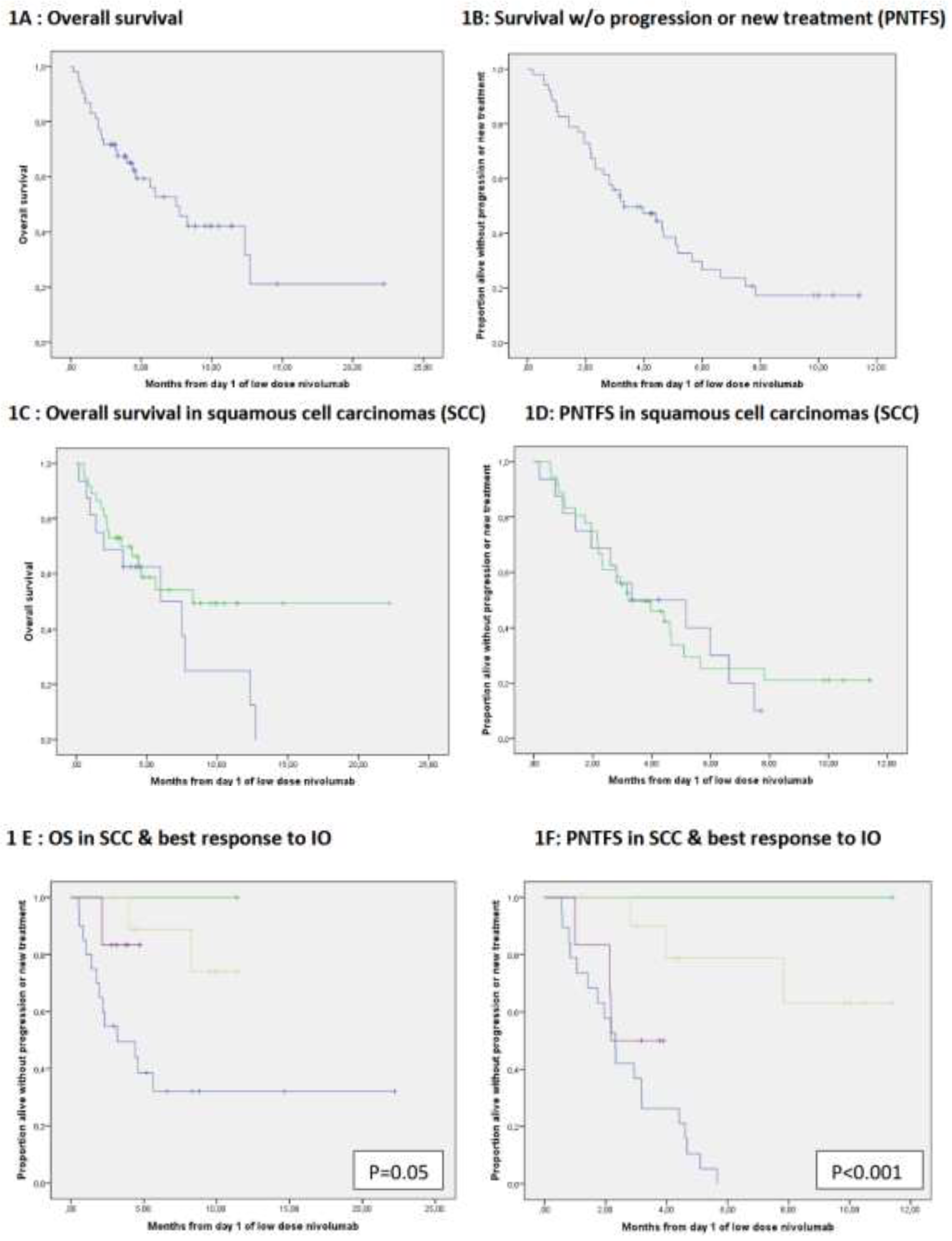 Preprints 203398 g001