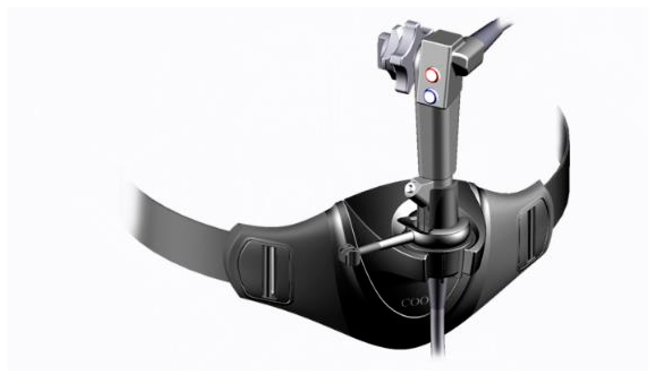 Preprints 79088 g003